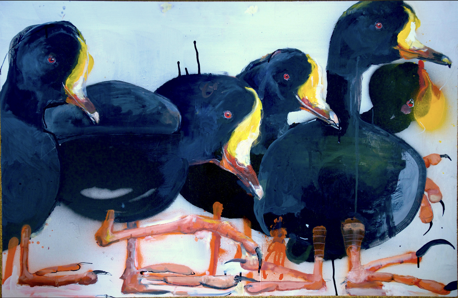 StraussS_Coots no.2.png