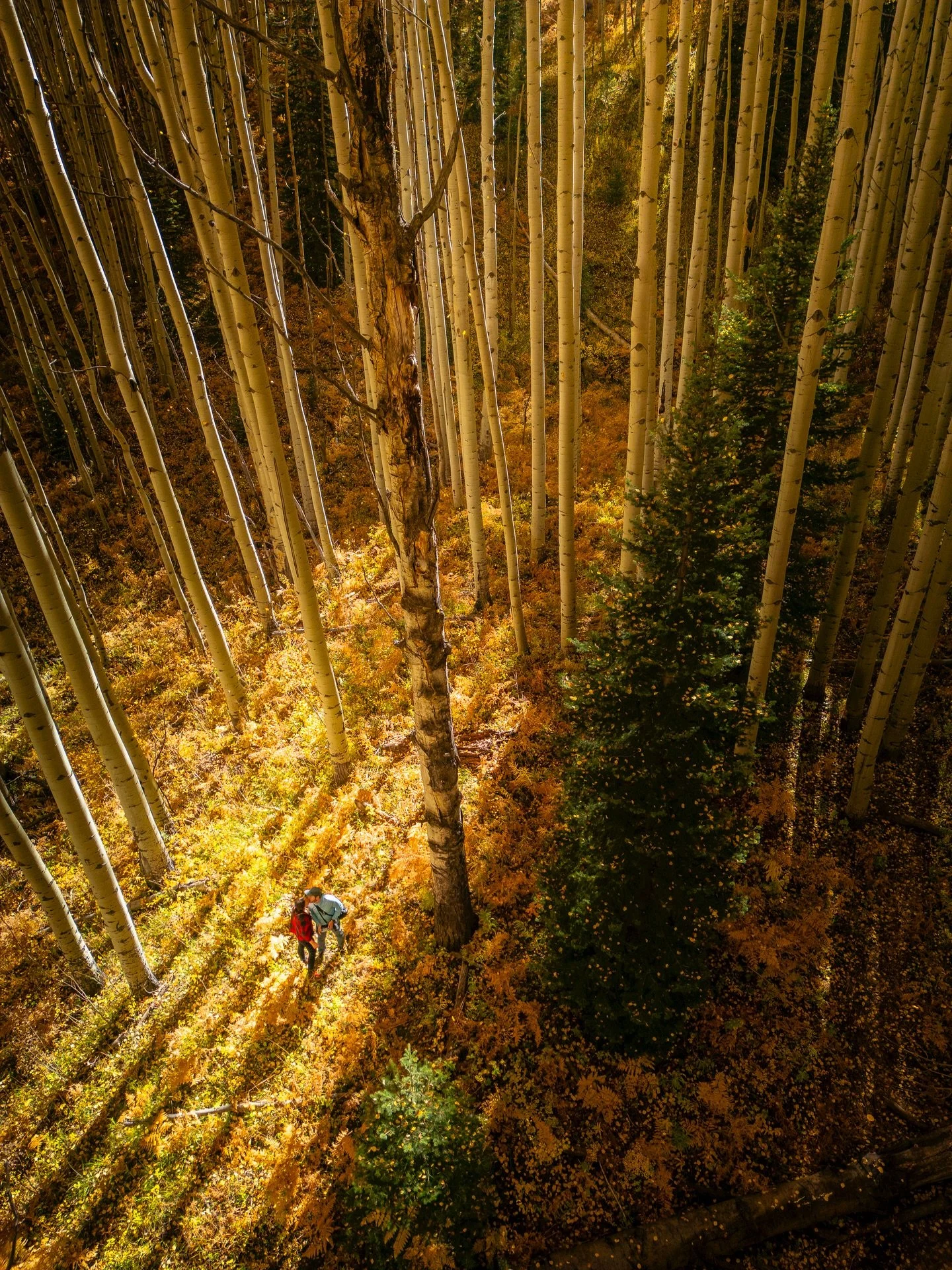 Fall is almost here! If you&rsquo;re still scrambling to figure out your content plan, now&rsquo;s the time. September is fully booked, but I still have a few October spots left.

Don&rsquo;t let your organic posts and paid ads miss the season&mdash;