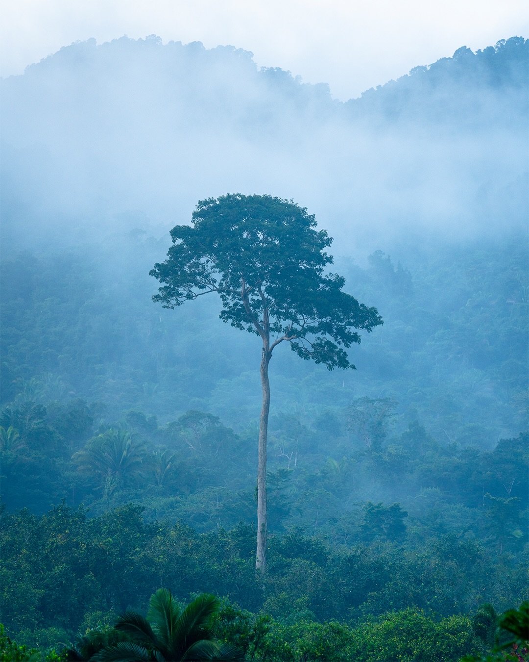 I love making my calendar every year. This first image is in there. I&rsquo;m a sucker for a lone tree, and this guy was pretty spectacular down in Belize. But the reason I love making my calendar is not only is it a way to take you on my adventures 