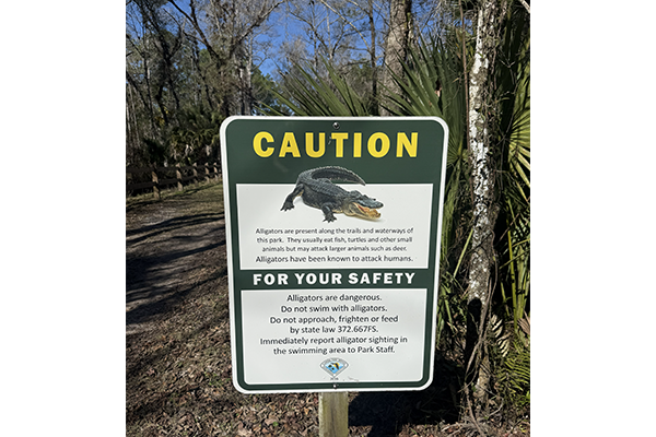 Aligator-Sign-WEB.png