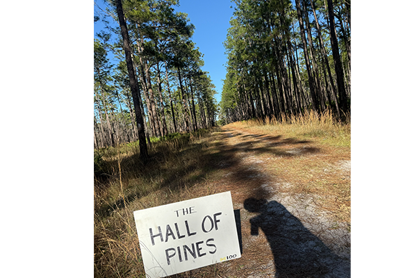 Hall-of-Pines-WEB.png
