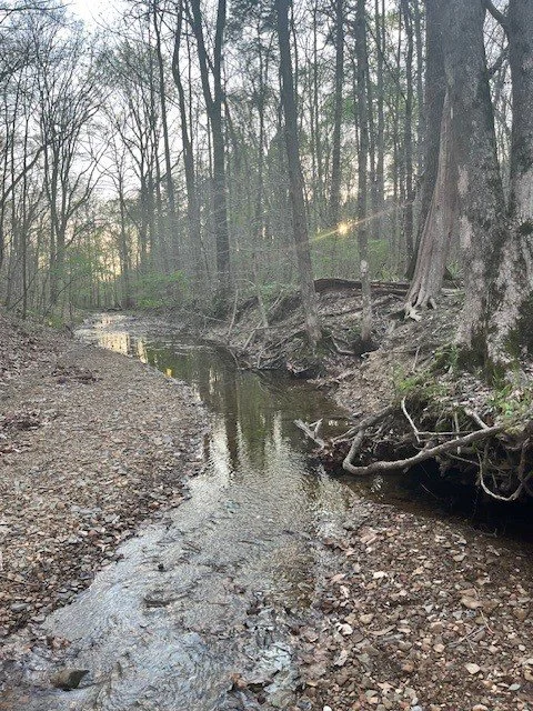 Knobstone 50 is Wild and Beautiful