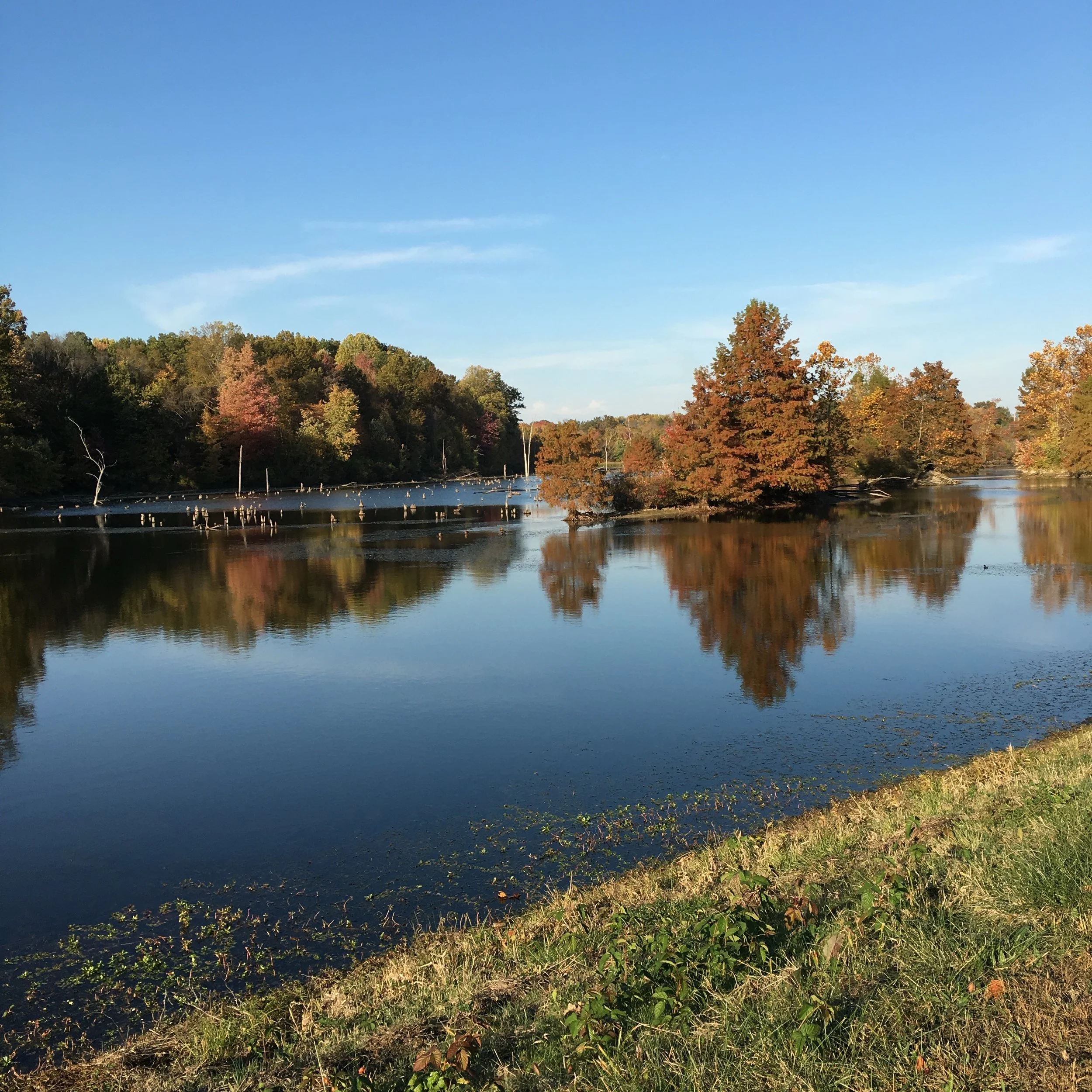 2015-10-21 16.26.25.jpg