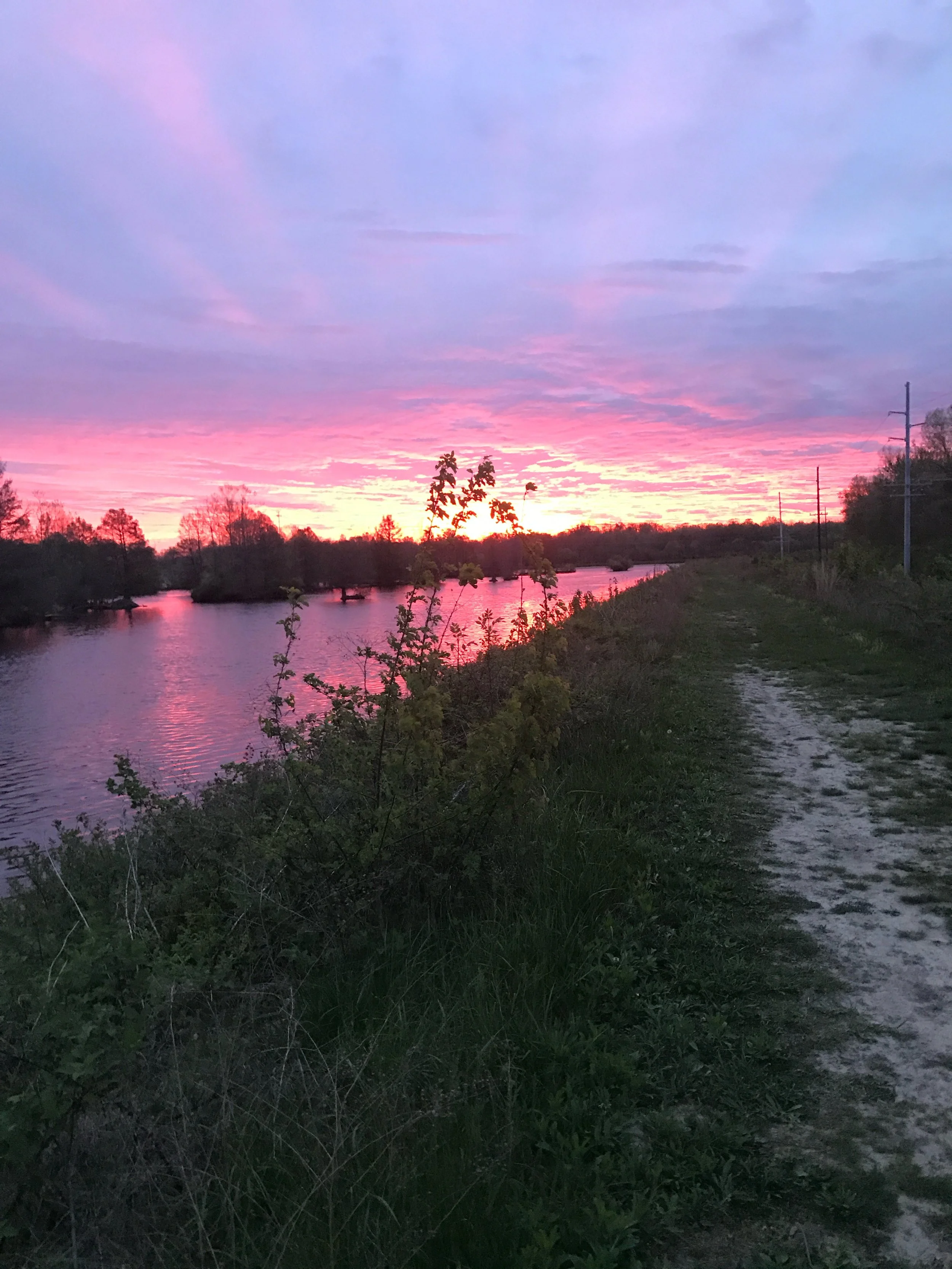 2017-04-22 05.50.32.jpg