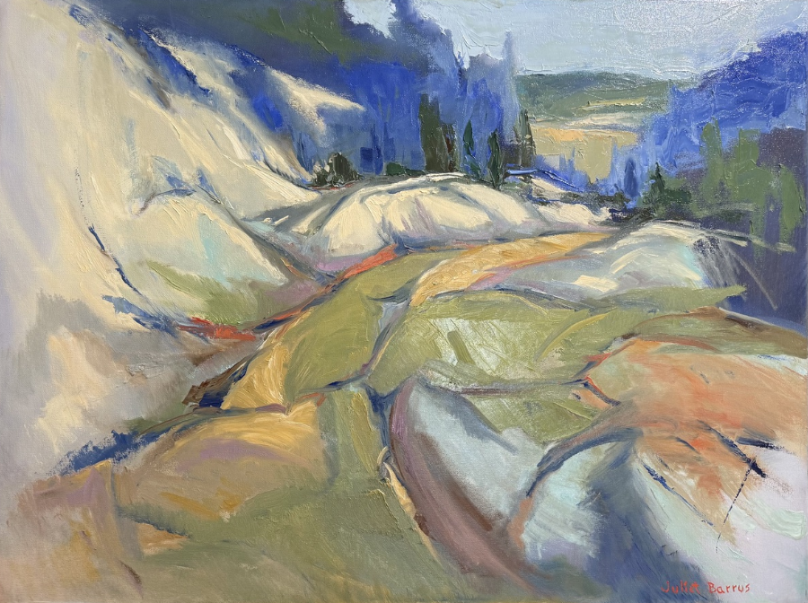 DIEBENCORN INFLUENCED LANDSCAPE