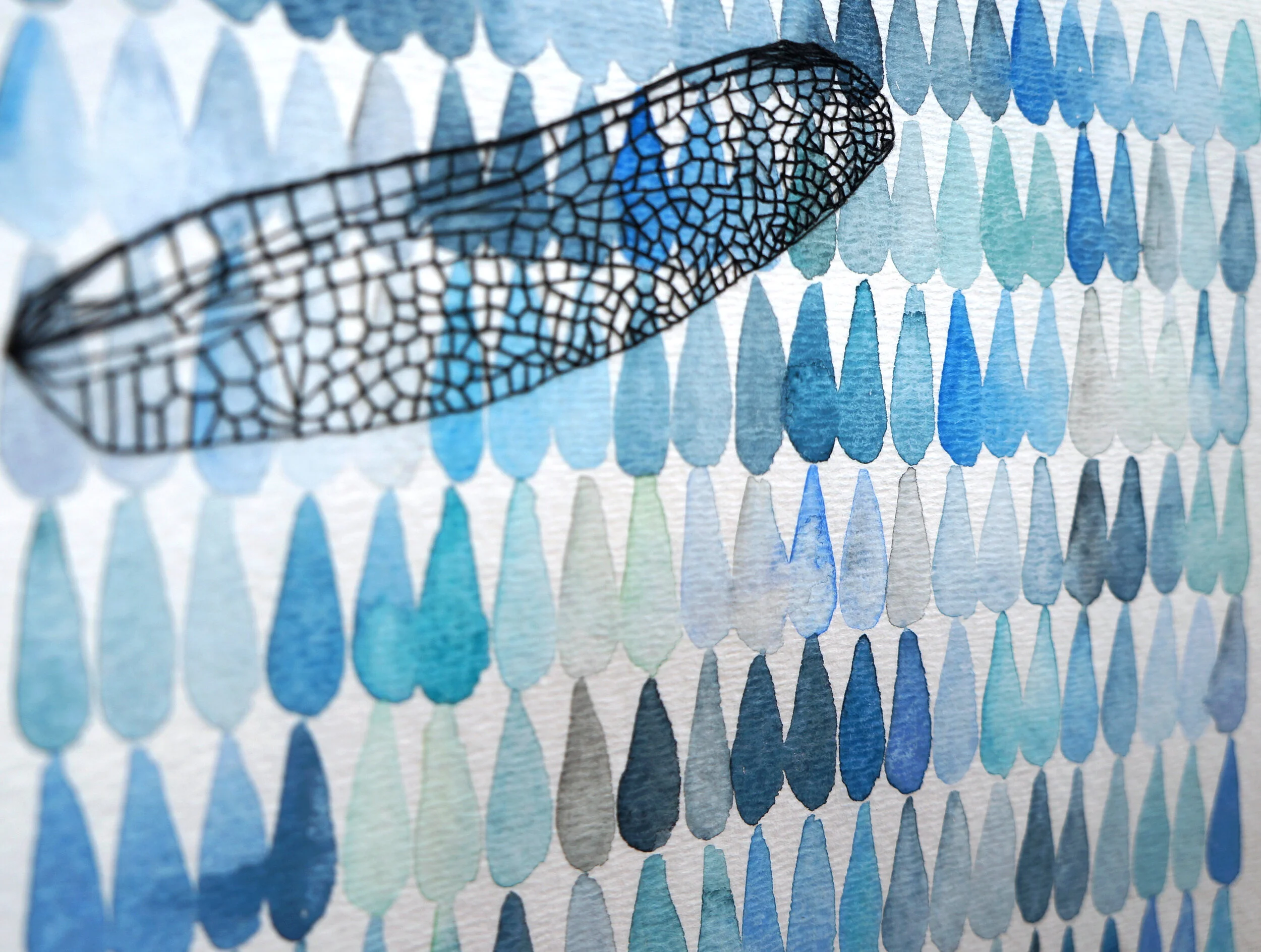 Dragonfly Droplets, Detail