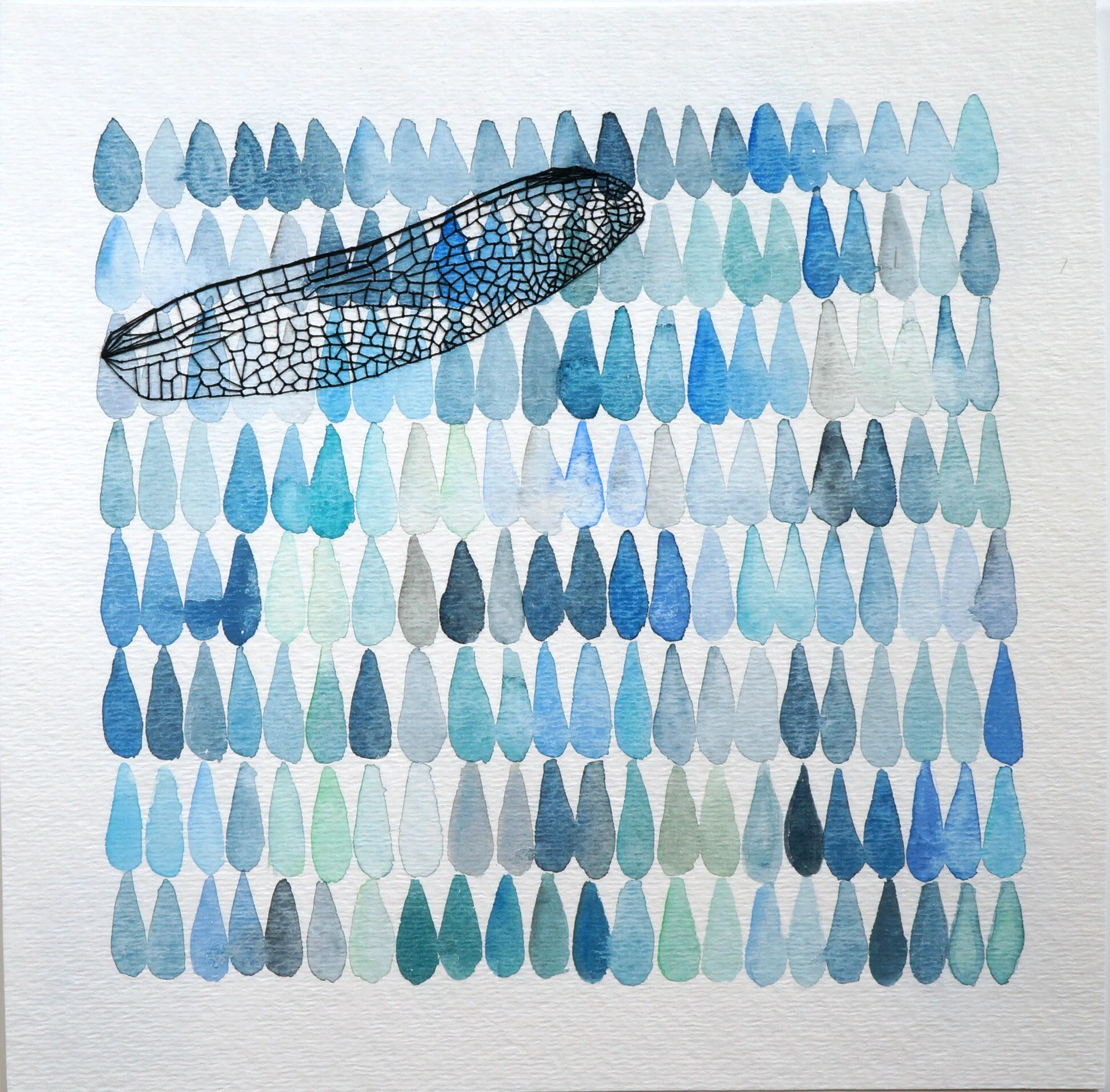 Dragonfly Droplets, 8.75x8.75”  SOLD