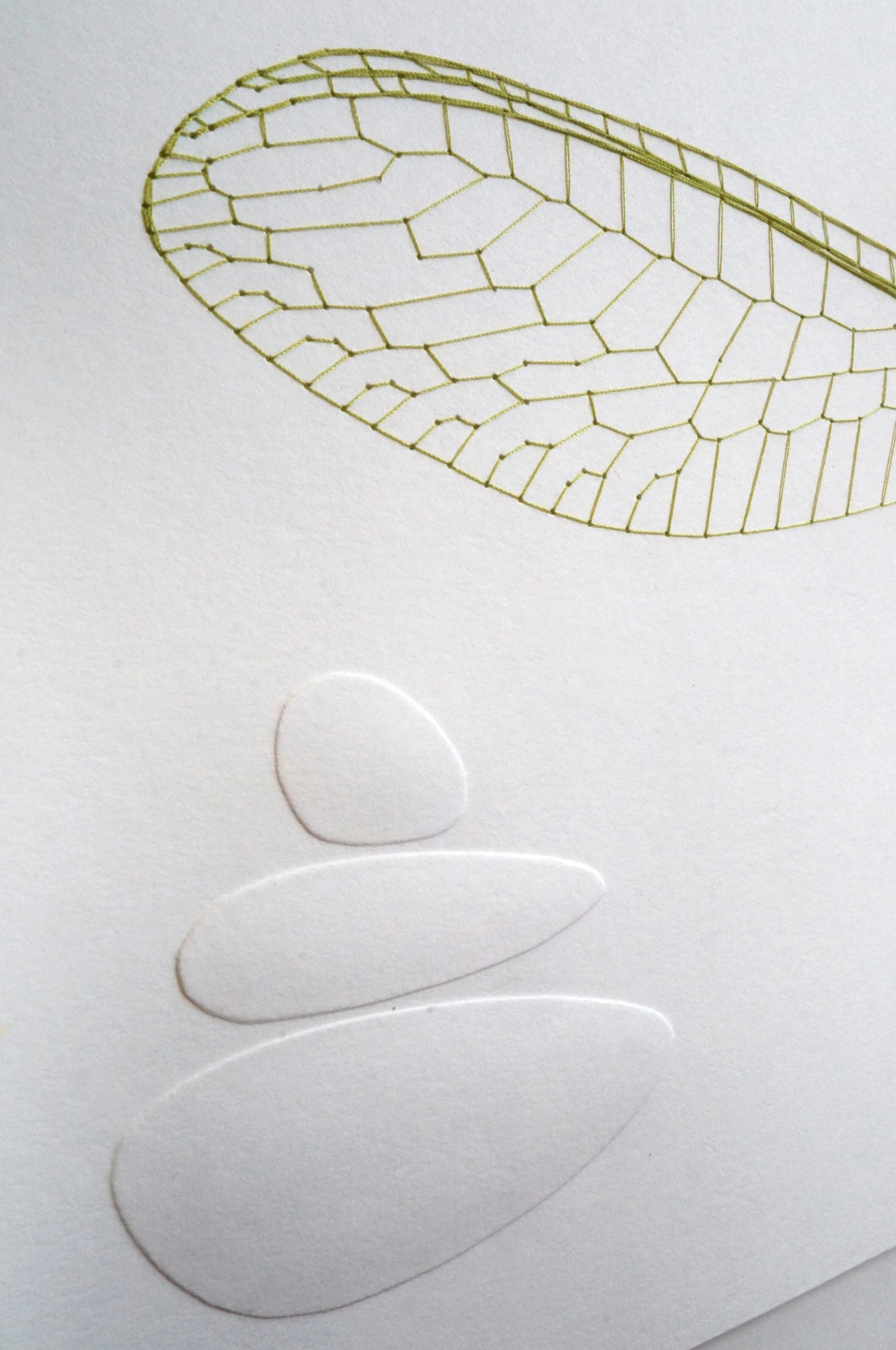 Dragonfly, Detail