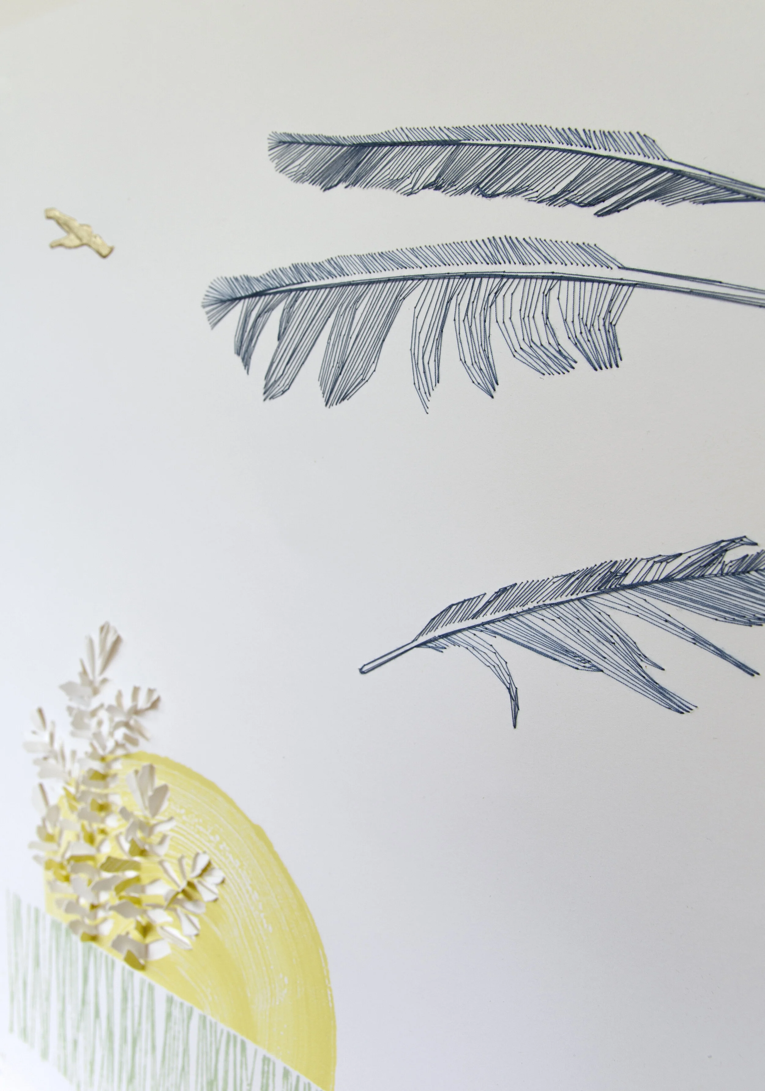 Coopers Hawk, Detail