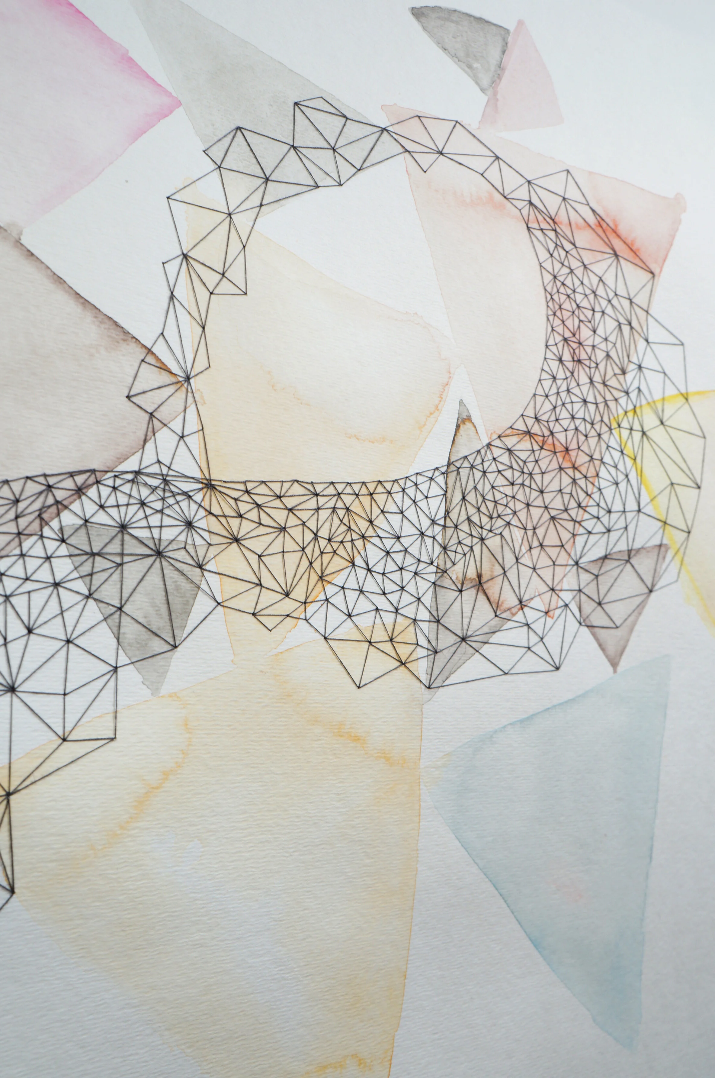 Murmuration I, Detail