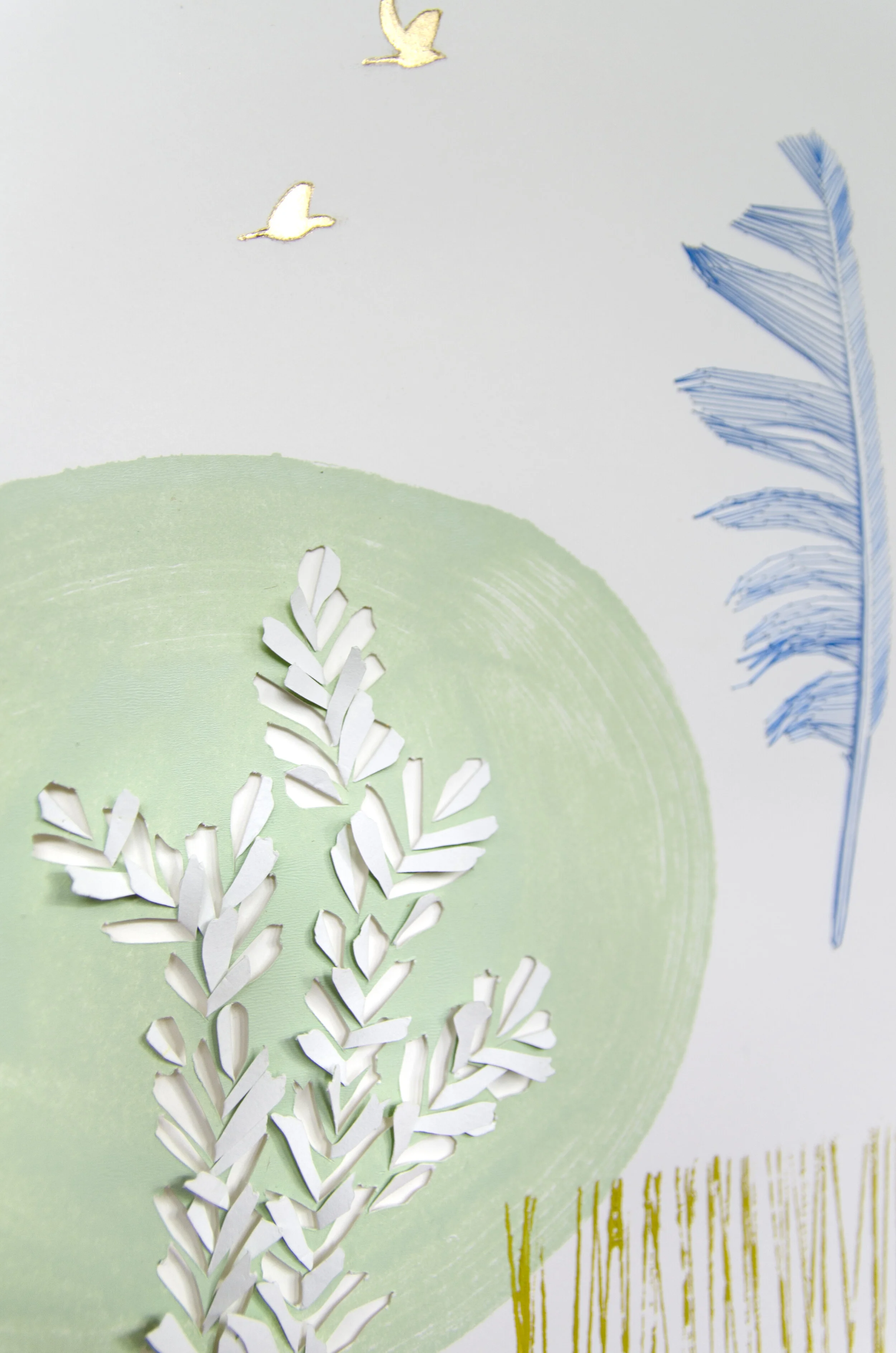 Mountain Bluebird, Detail