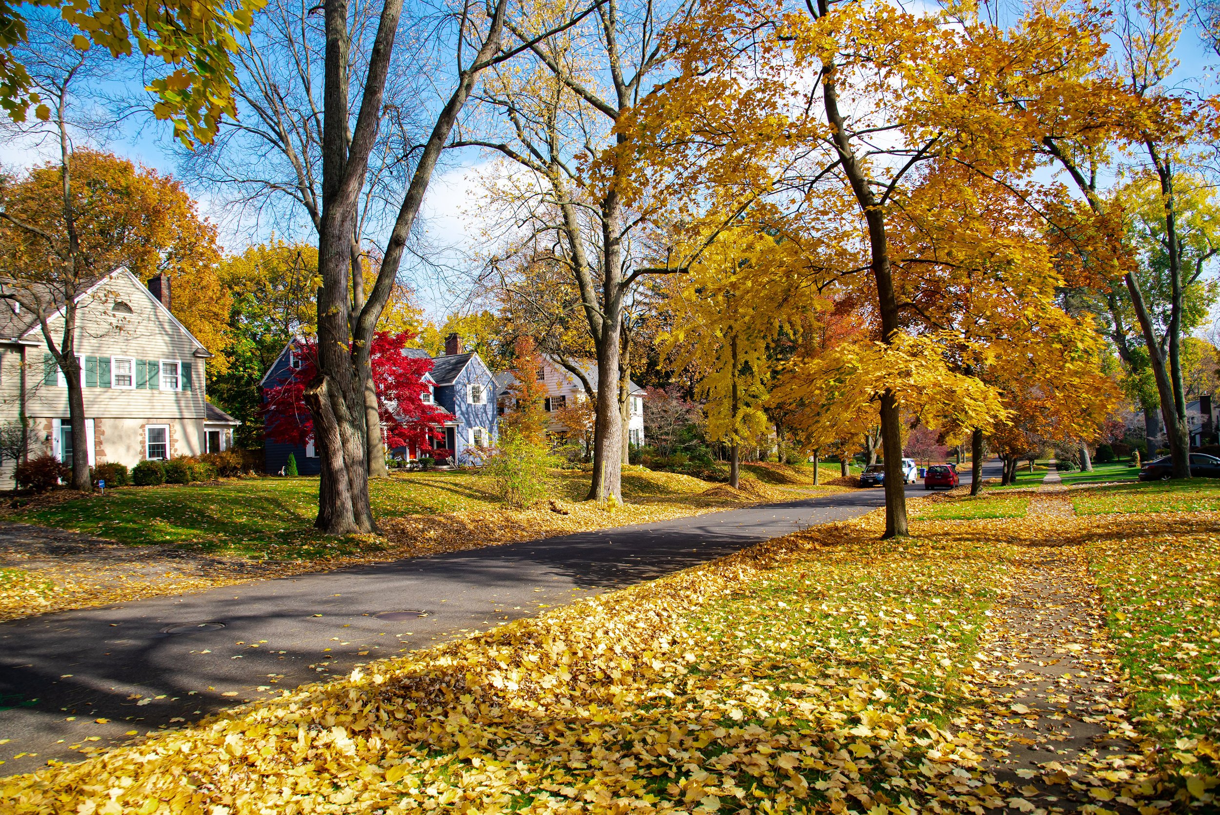 How Do I Prepare My House For The Fall Season?