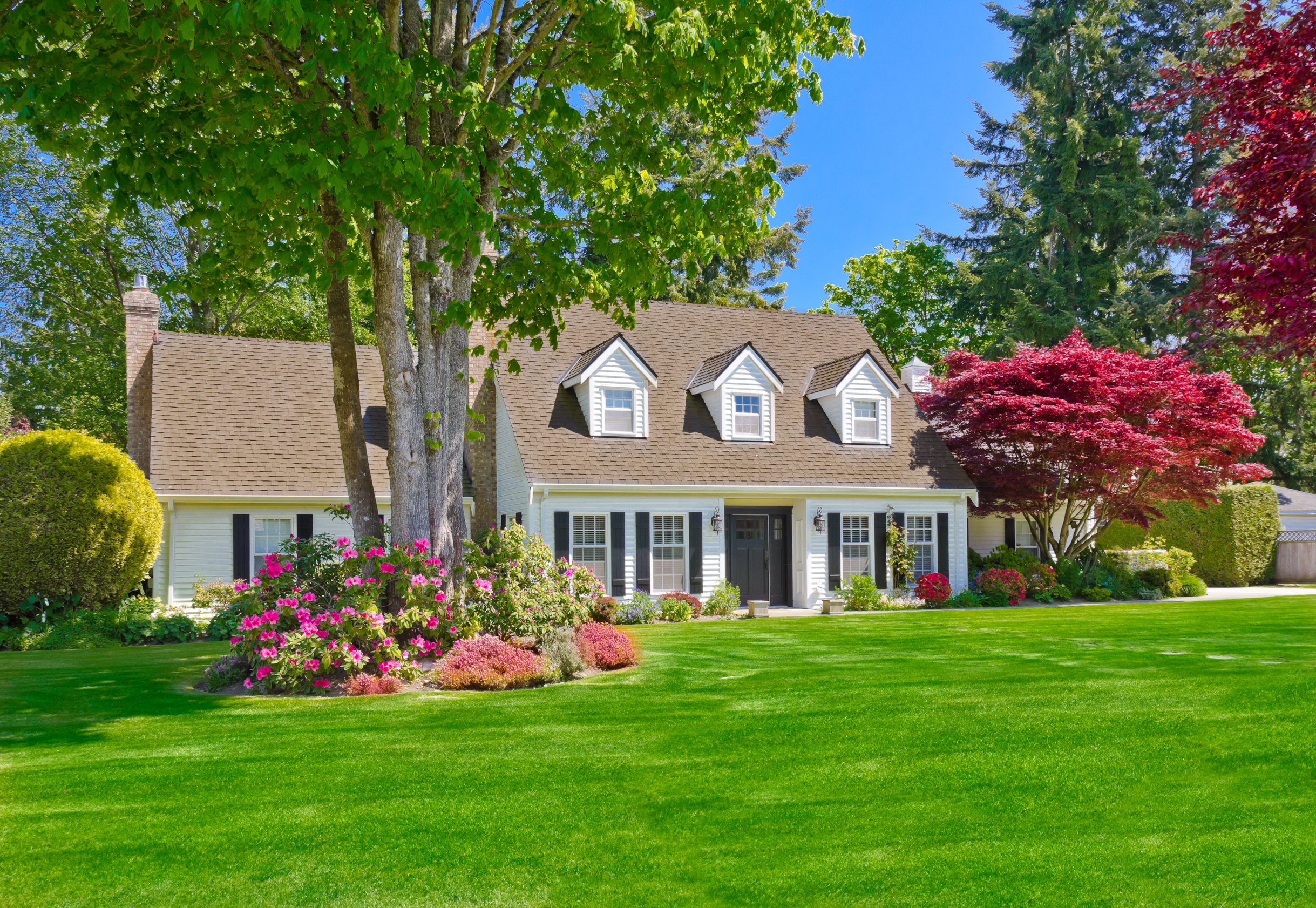 Homeownership Hope! Why Now Might Be the Perfect Time to Buy