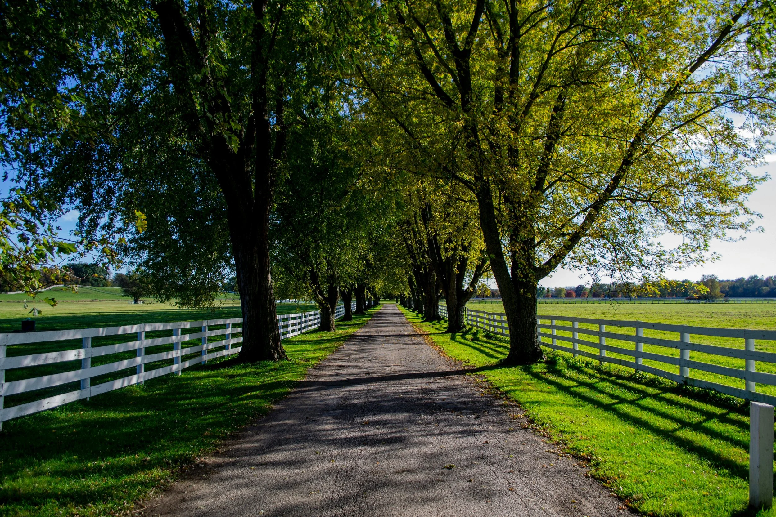 Outdoor Adventures: Best Trails in Chester &amp; Delaware County