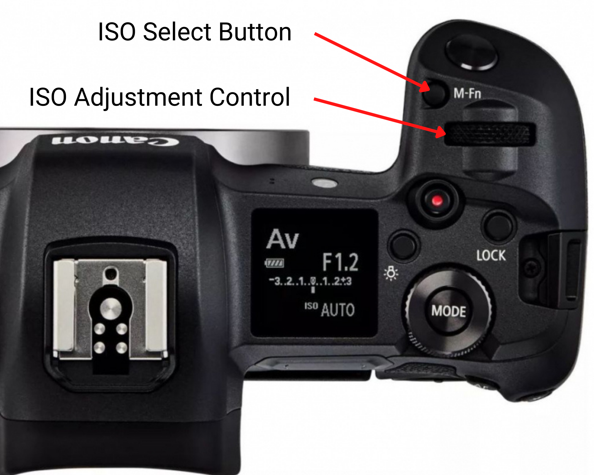 Camera Settings 103: Identifying ISO — Beau Downard