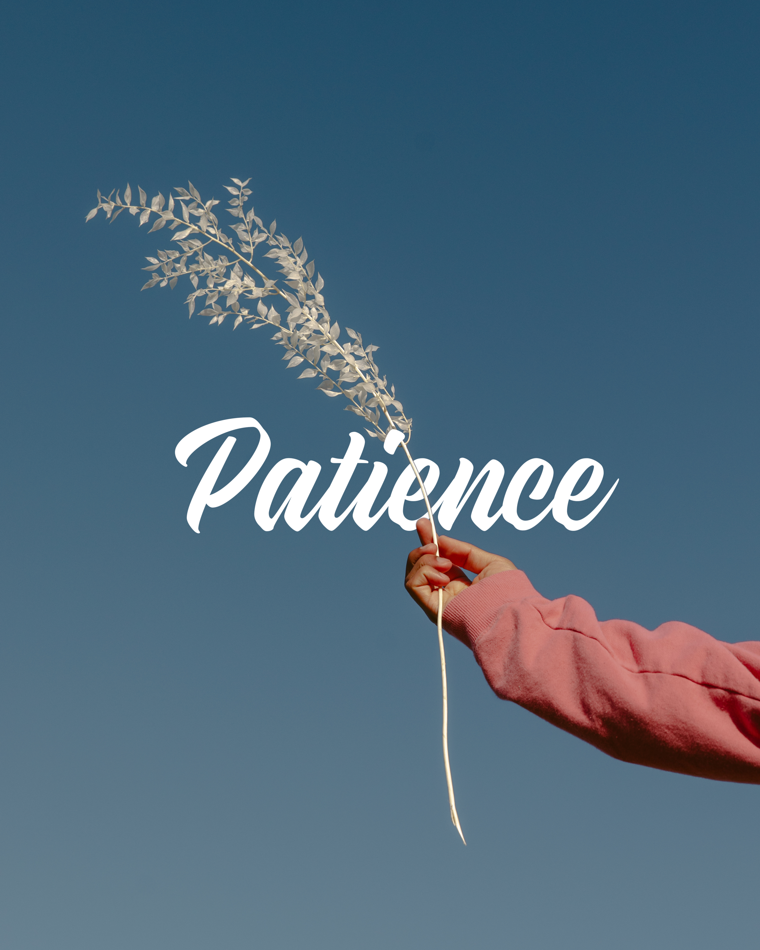 Patience