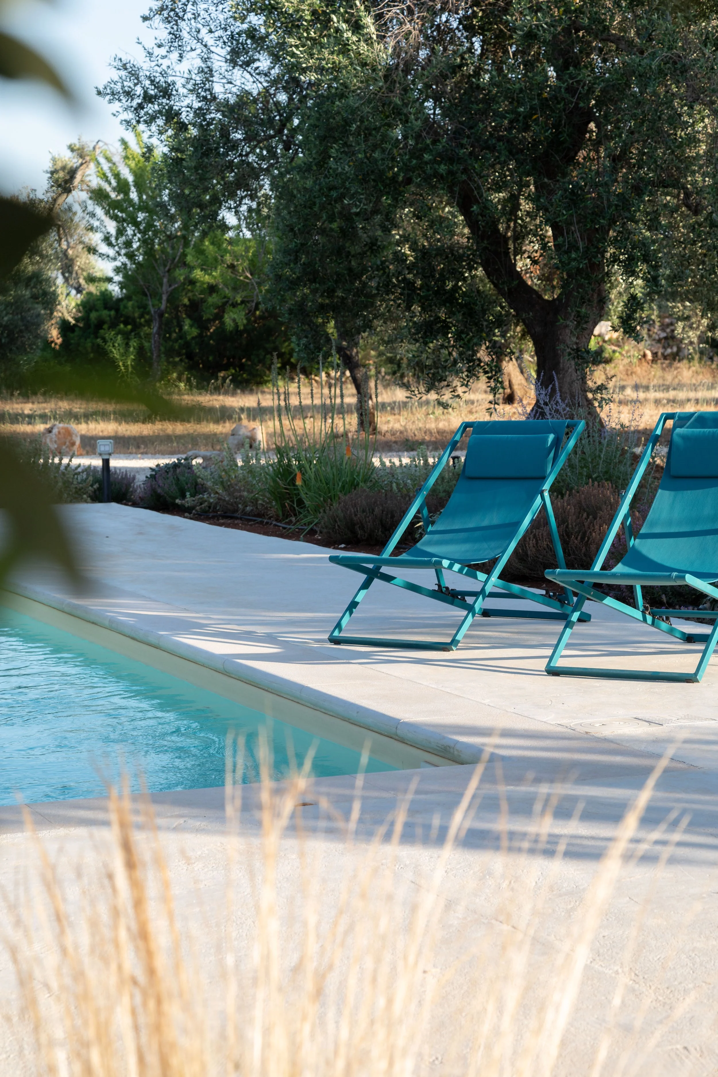 Two turquoise lounge chairs by a swimming pool with a large tree and greenery in the background.