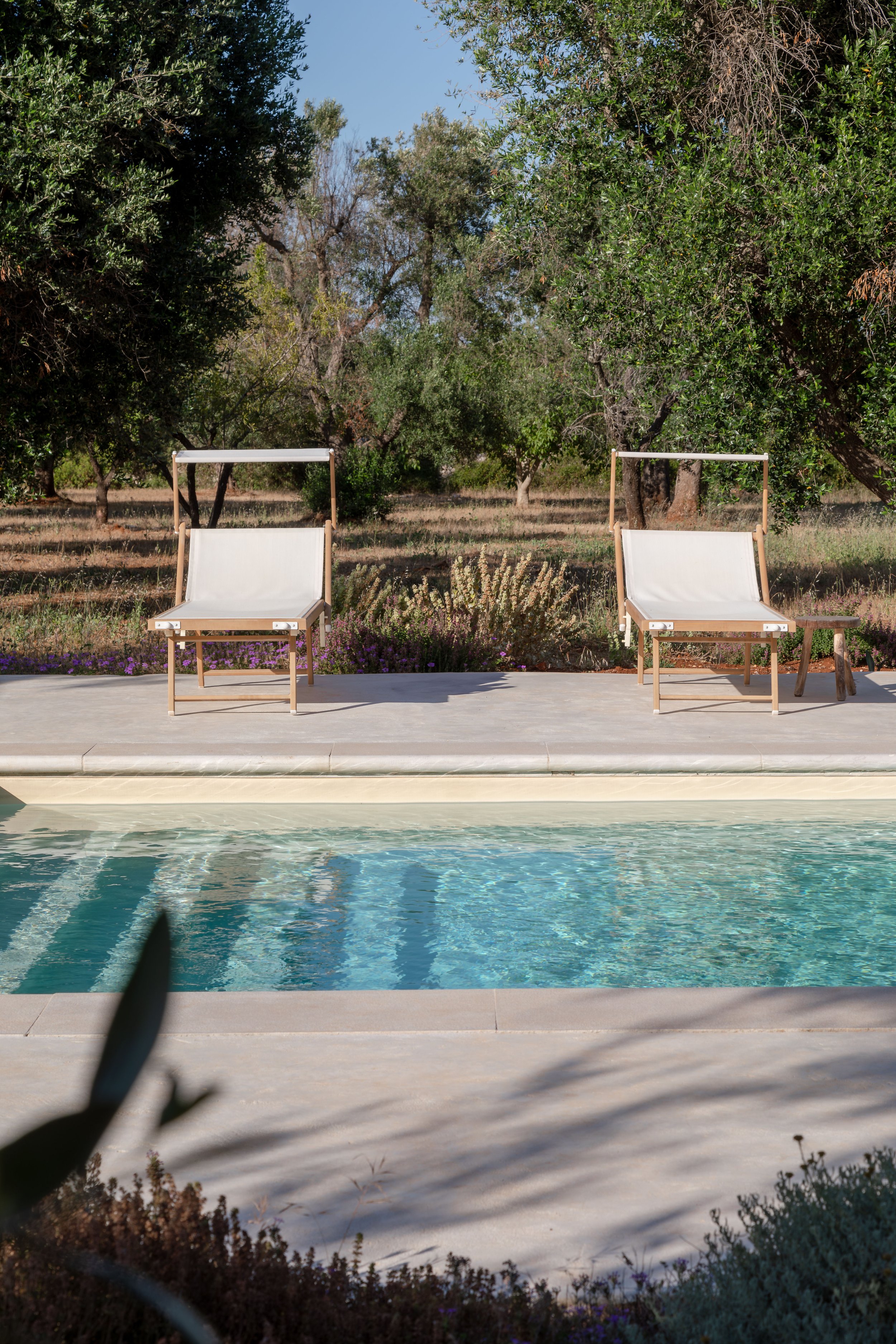 Two white lounge chairs with wooden frames next to a swimming pool, surrounded by a landscaped garden with trees and shrubs under a clear blue sky.