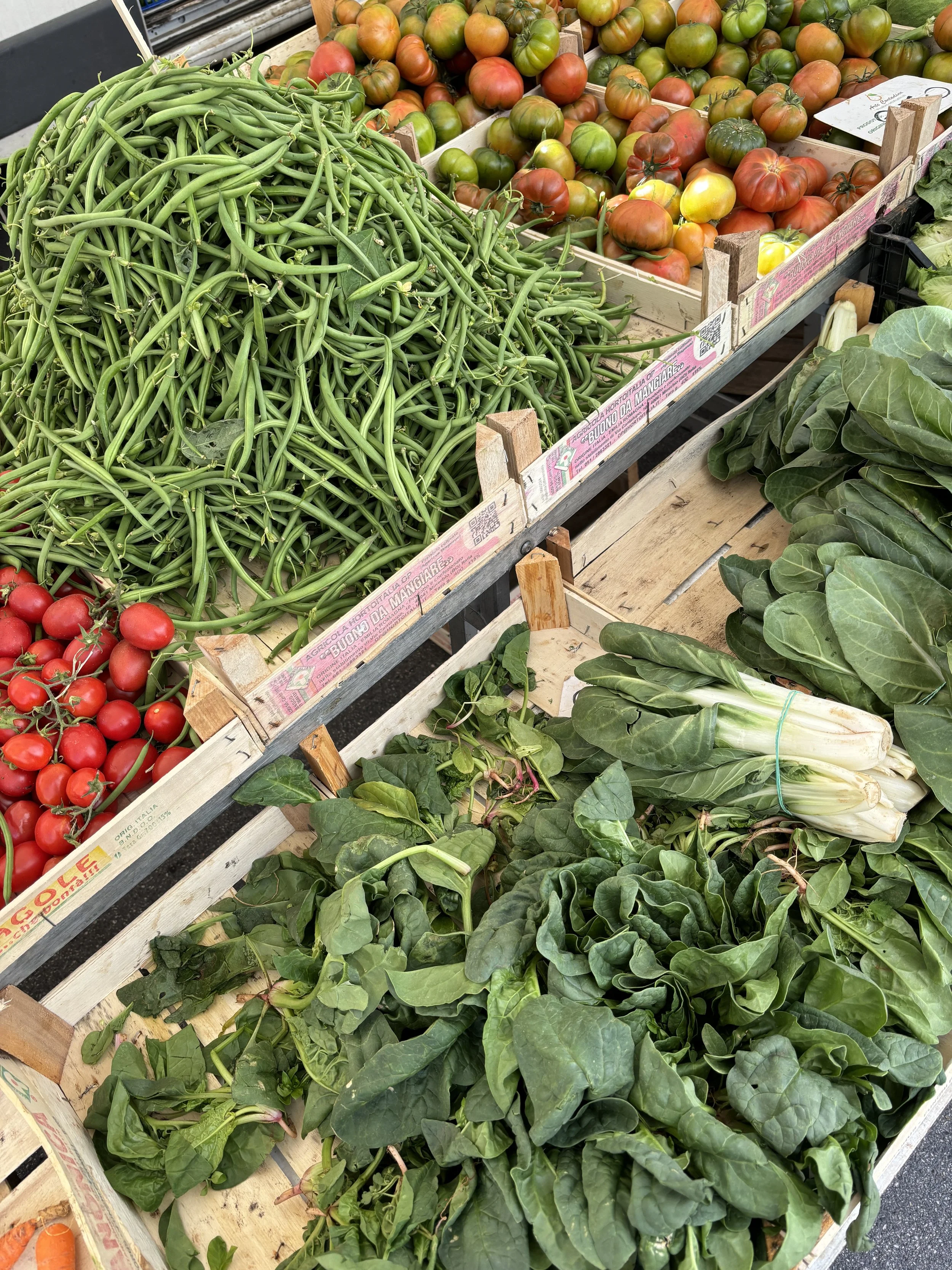 Fresh green beans, heirloom tomatoes, and leafy greens at a market stand.