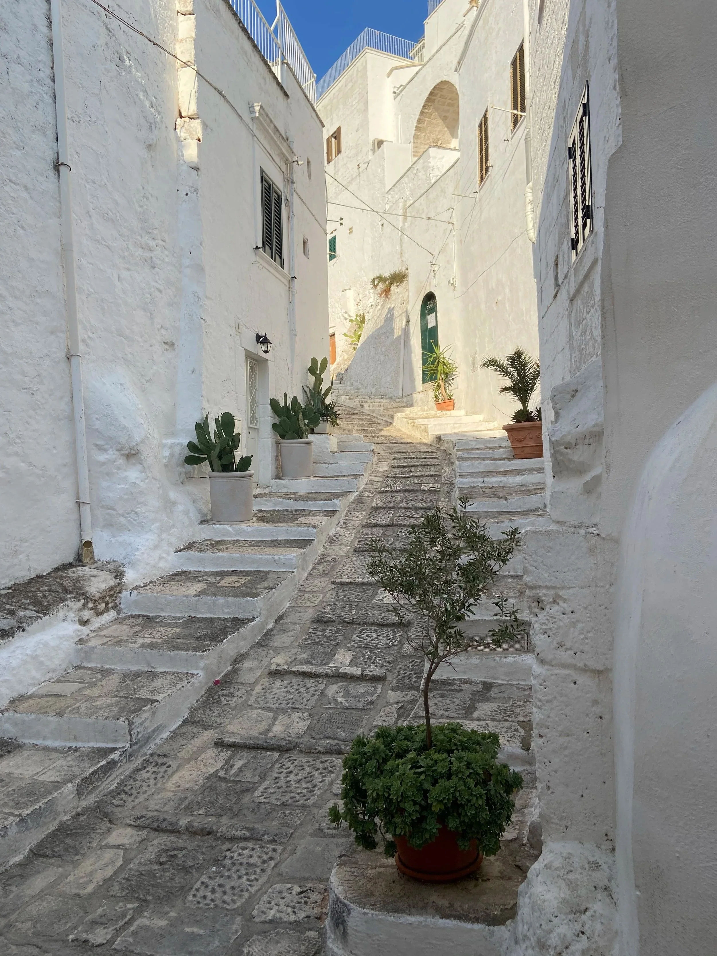 Narrow cobblestone street in Ostuni, Puglia with whitewashed buildings, potted plants, and stairs leading upward under a clear blue sky.