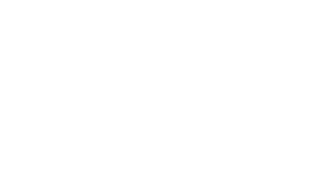 msr.png