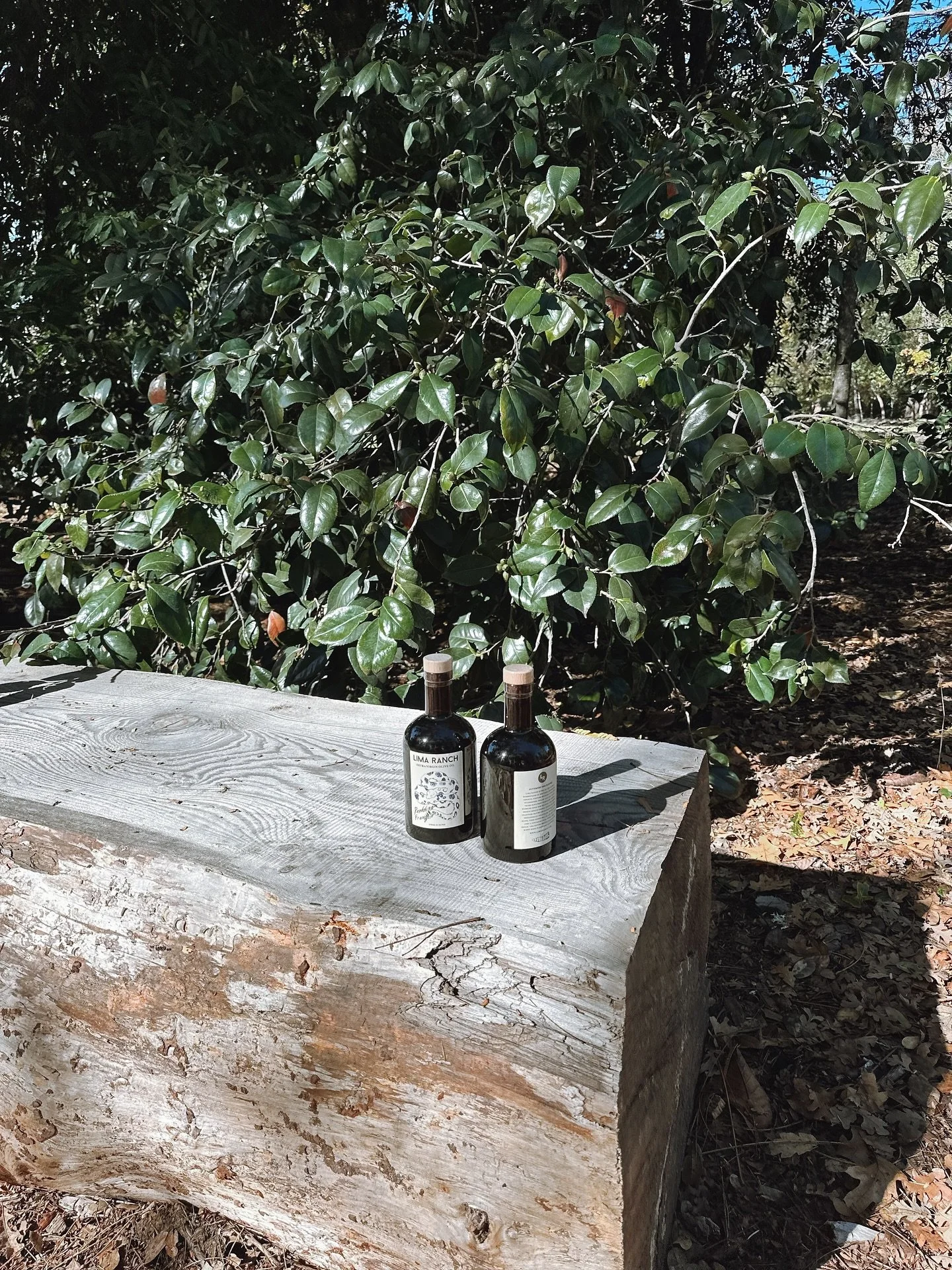 Okay y&rsquo;all this is it&hellip;. We only have a few cases of olive oil left until this year&rsquo;s harvest is bottled in February. If you were hoping for Christmas gifts ORDER NOW! 

Next Friday I am going to take my remaining inventory to @mend