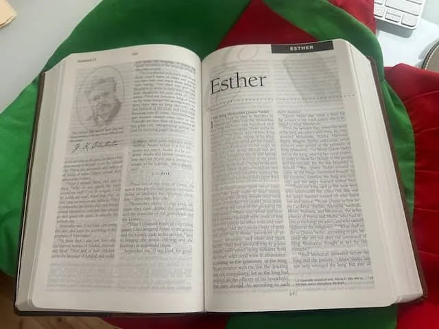 A New Bible for Christmas