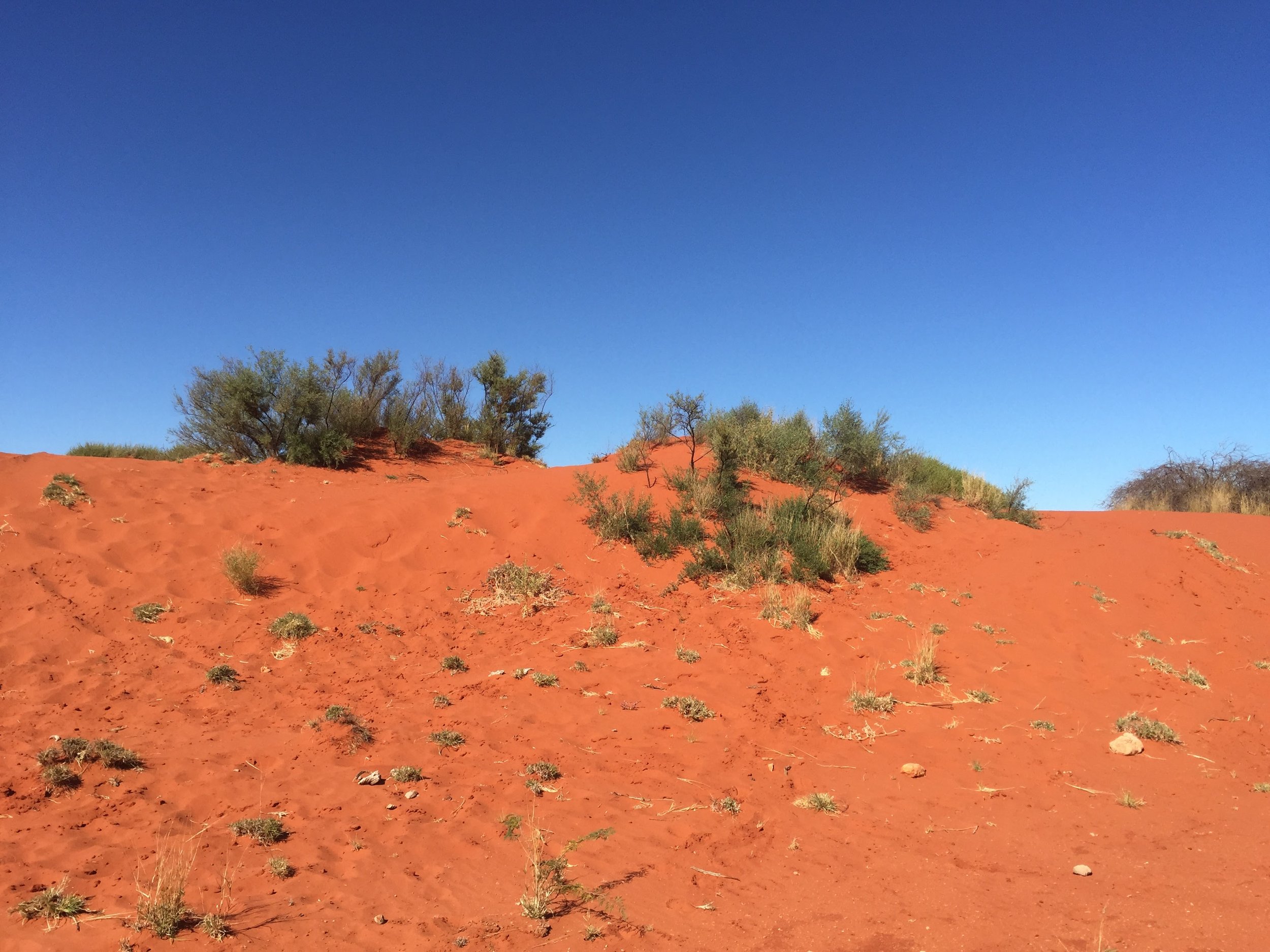 Incomparable colors of the Outback, Northern Territory, Australia