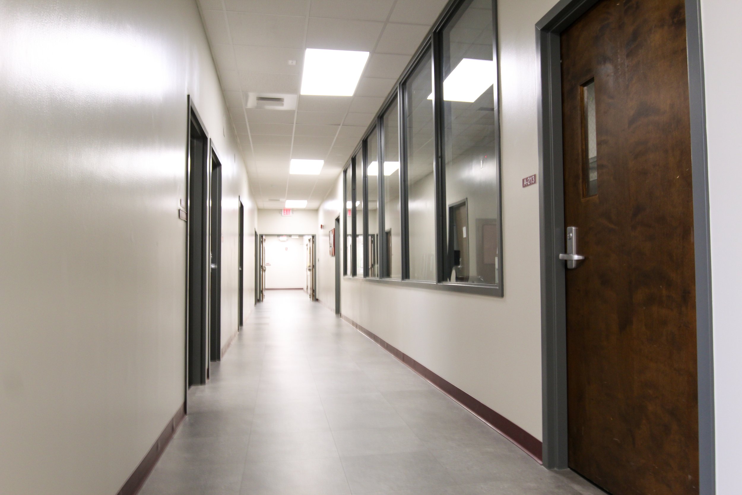 Empty school or office hallway with closed wooden door on right and windows along the wall on the right.