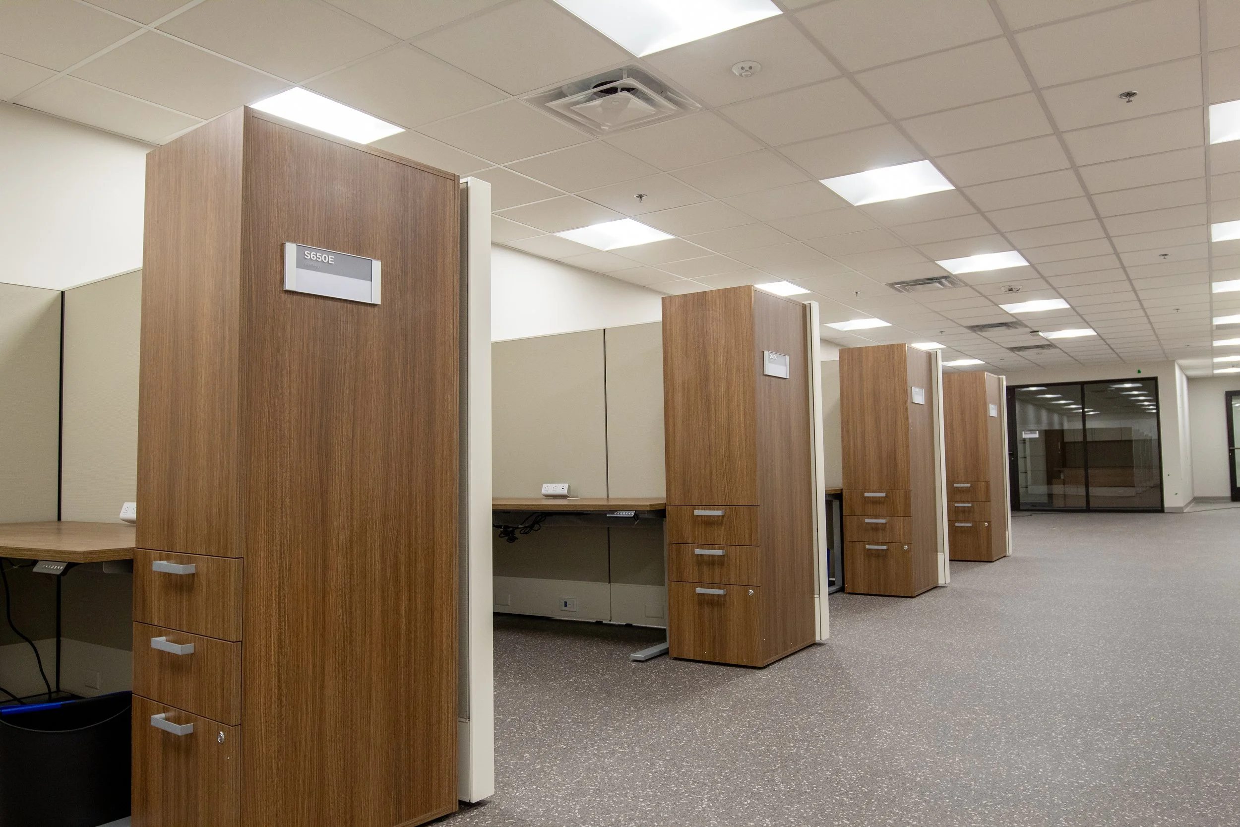 Empty office cubicles with wood panel dividers and gray carpets in a modern office space.