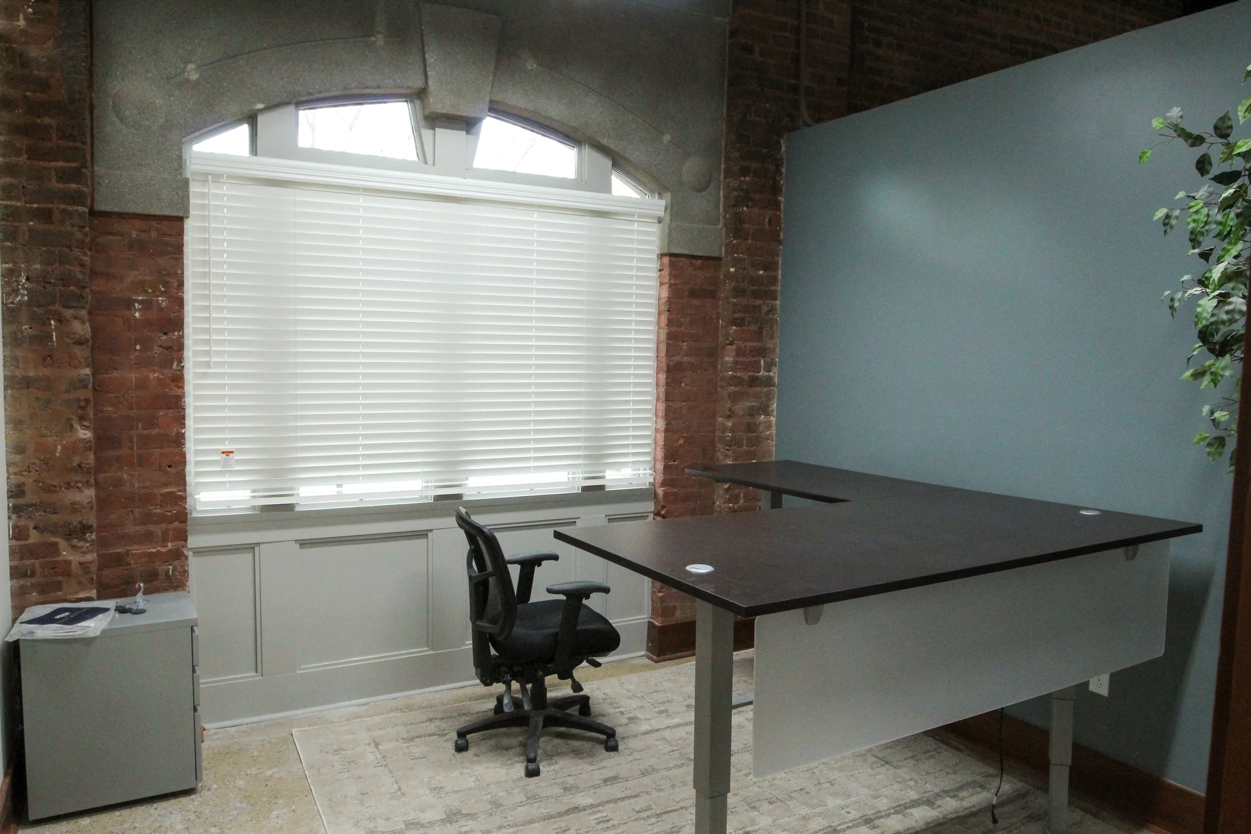 An office space with a light blue wall, brick wall, large window with white blinds, a black office chair, two dark wood desks, a small gray cabinet with papers, a beige rug, and a tall plant.