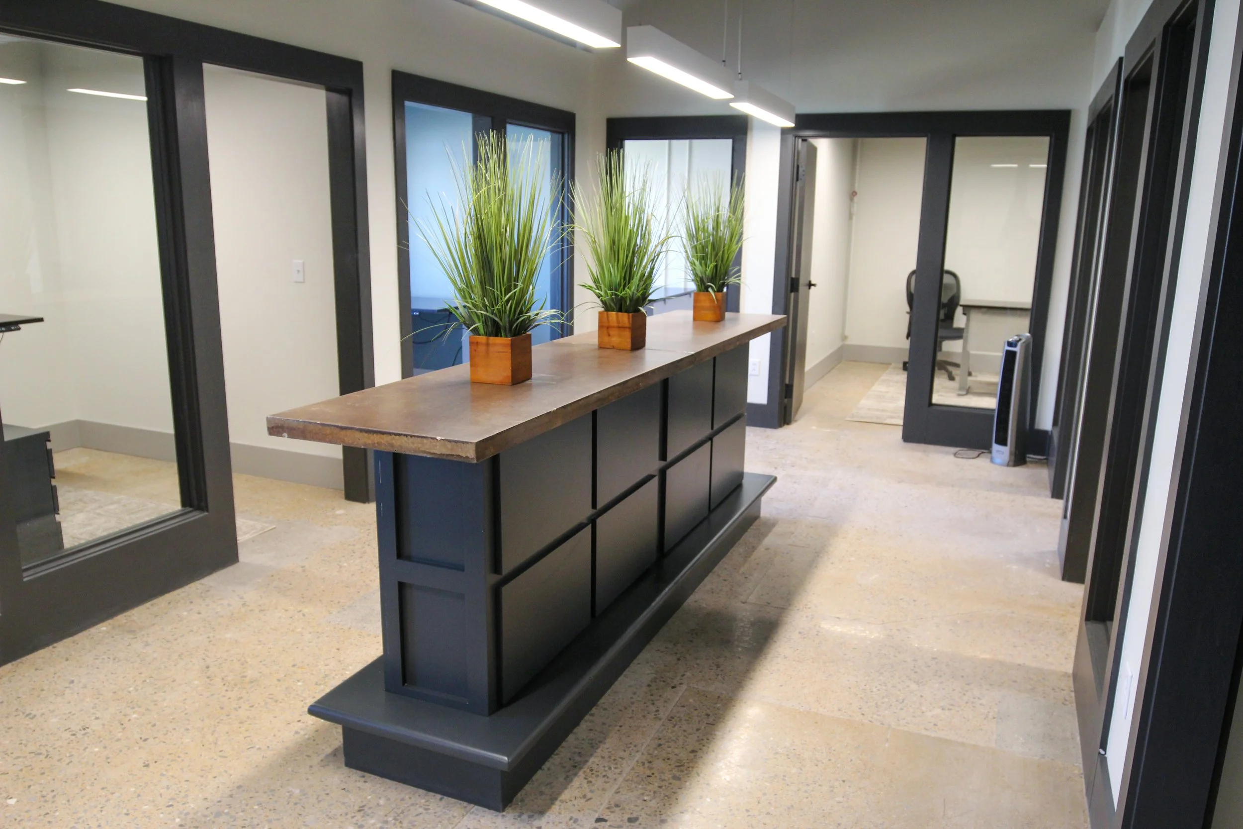 Modern office interior with a black and wood reception desk, three potted green plants on top, glass doors, and a workspace with a chair in the background.
