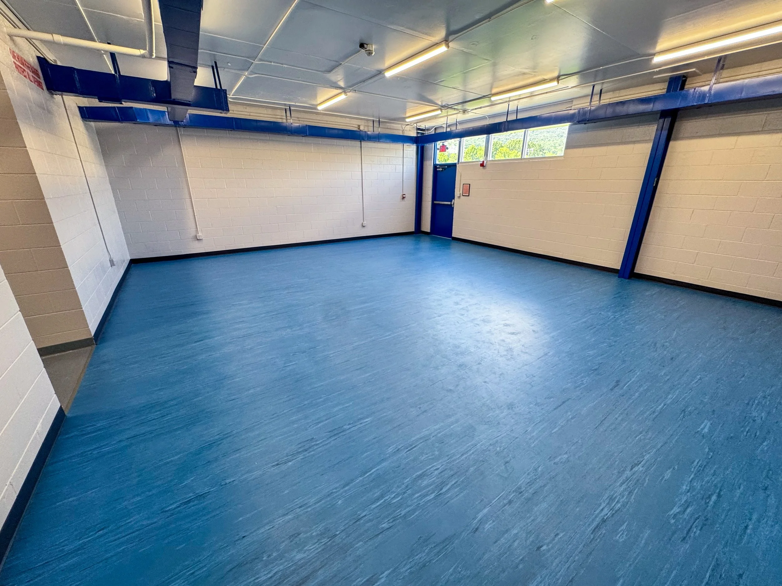 Empty room with white brick walls, blue floor, and a windowed door with windows along the top, illuminated by ceiling fluorescent lights.