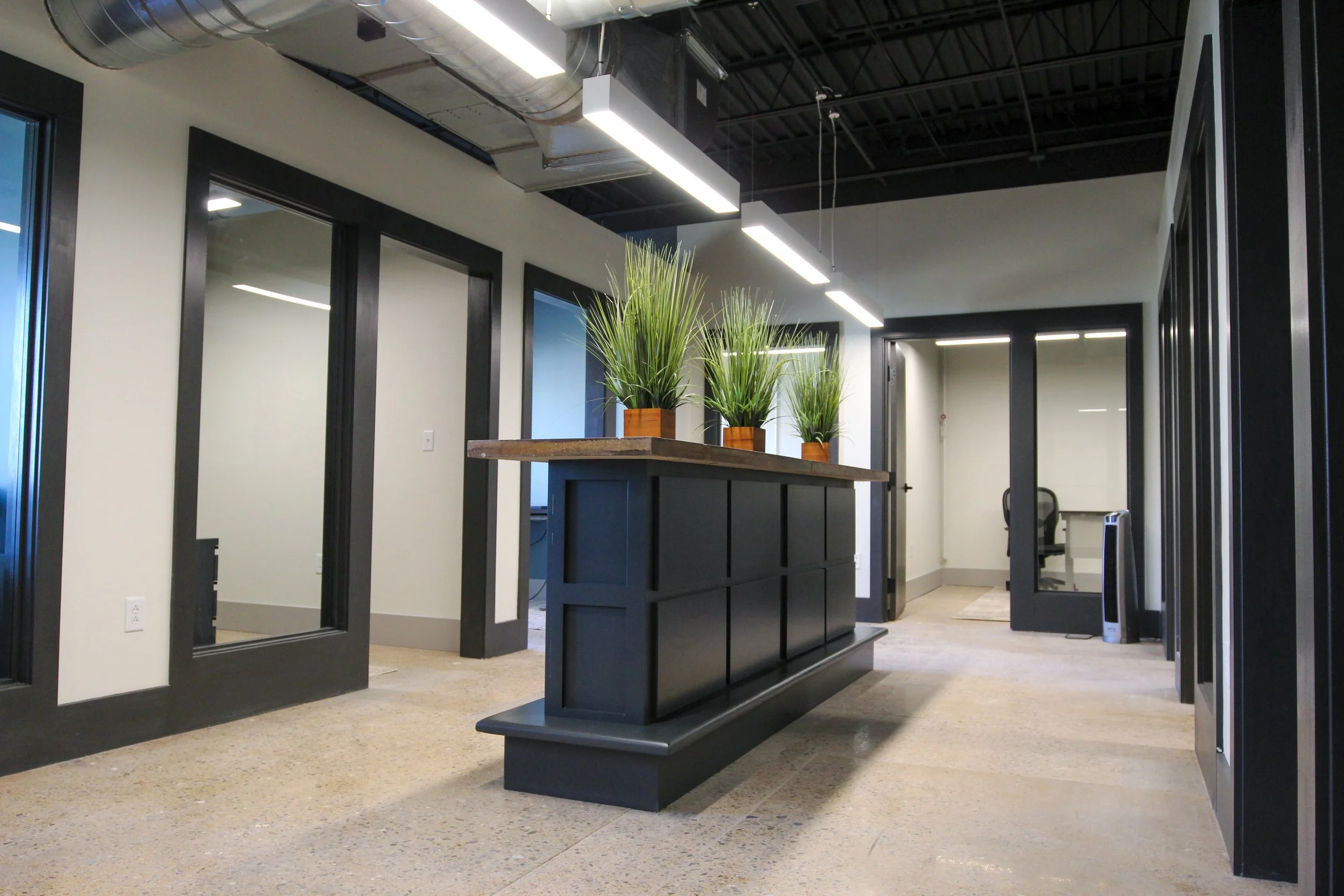 Modern office interior with a dark wood reception desk topped with potted green plants, black-framed glass doors, and large rectangular ceiling lights.