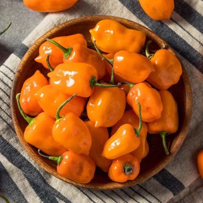 Orange Habanero.jpg