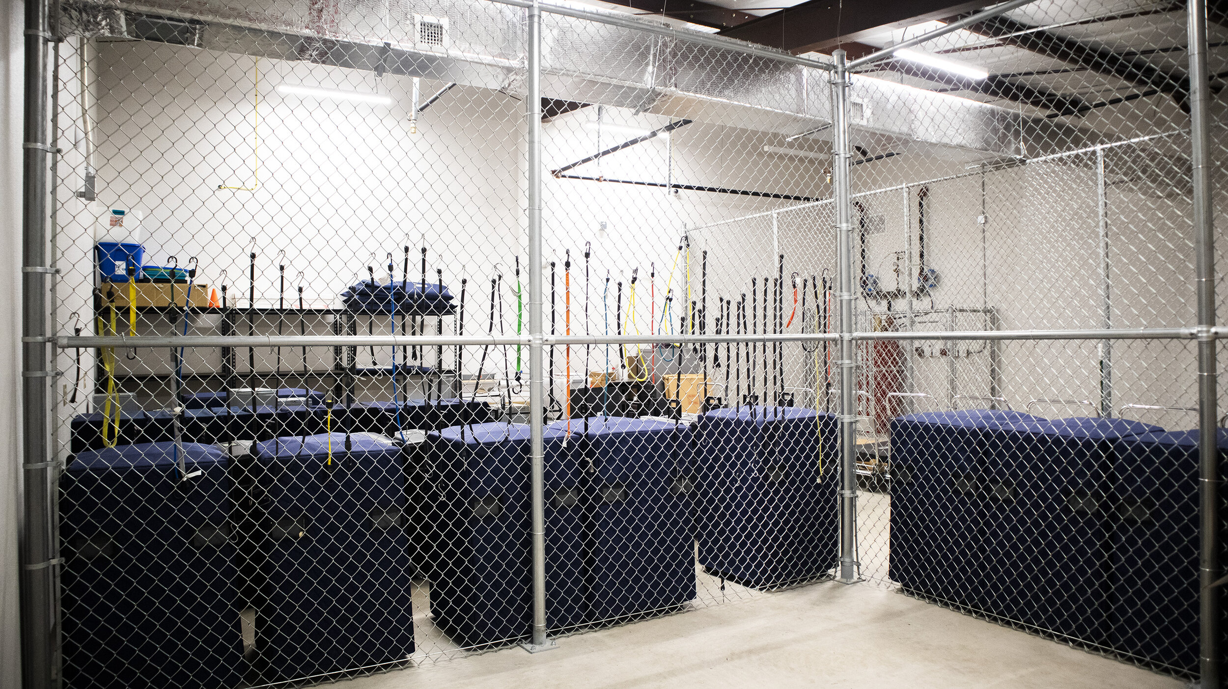 GW2 CAGE STORAGE 001.jpg