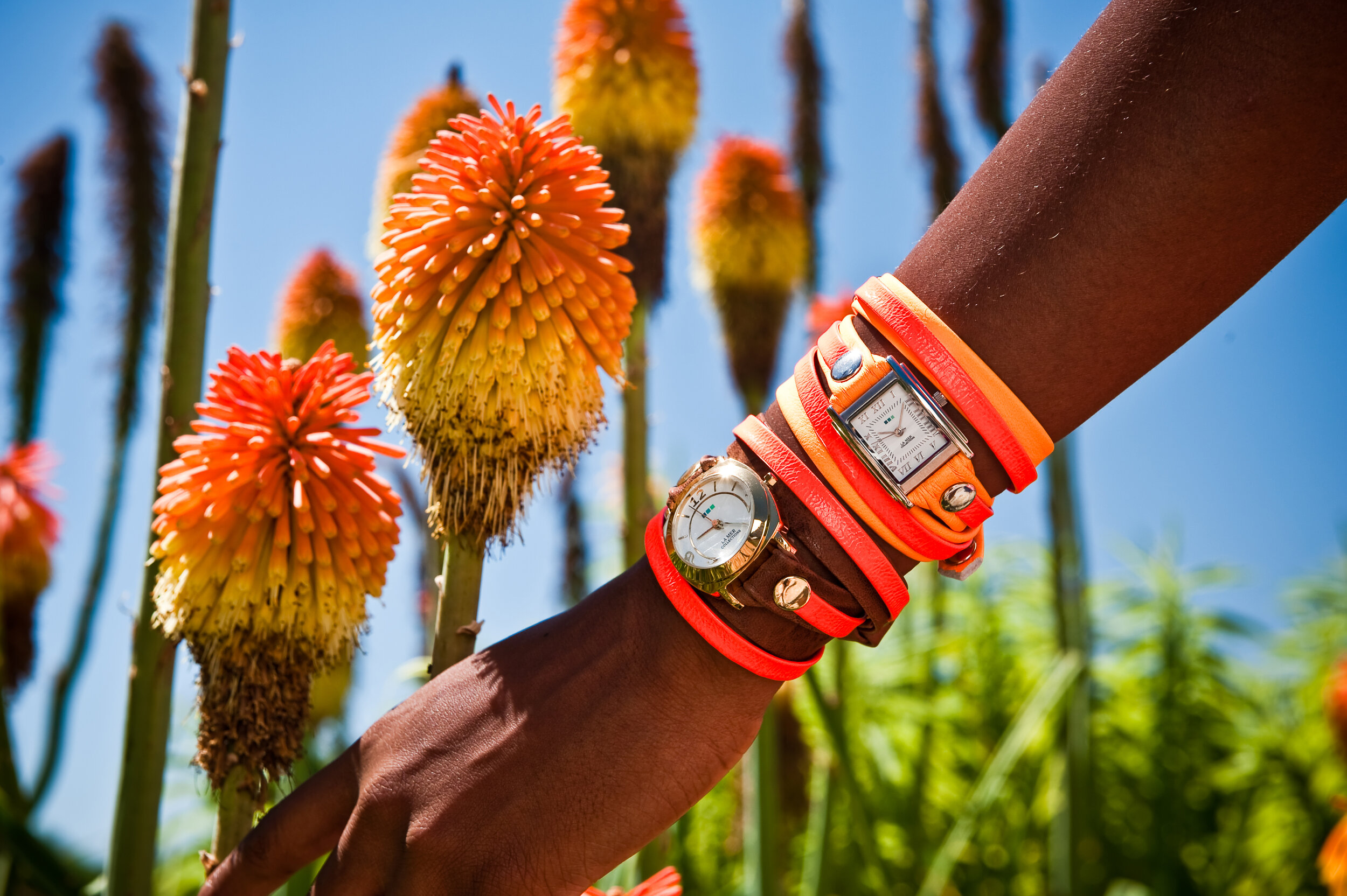 1_Kirstenbosch.jpg