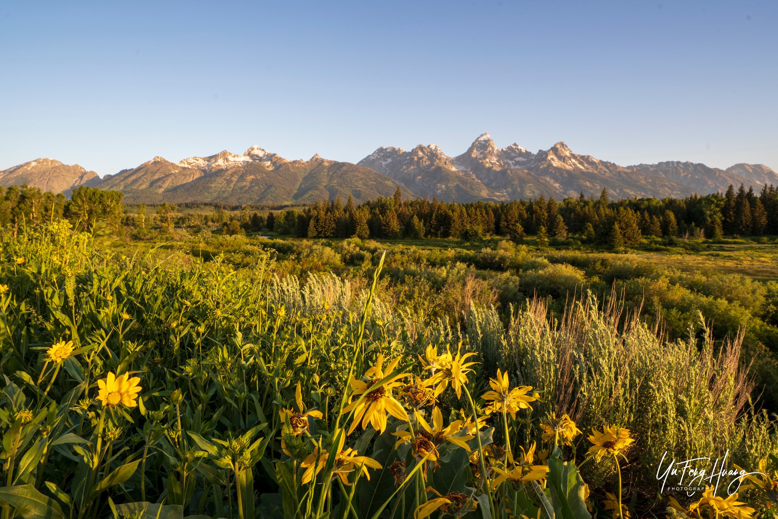 Grand Teton National Park
