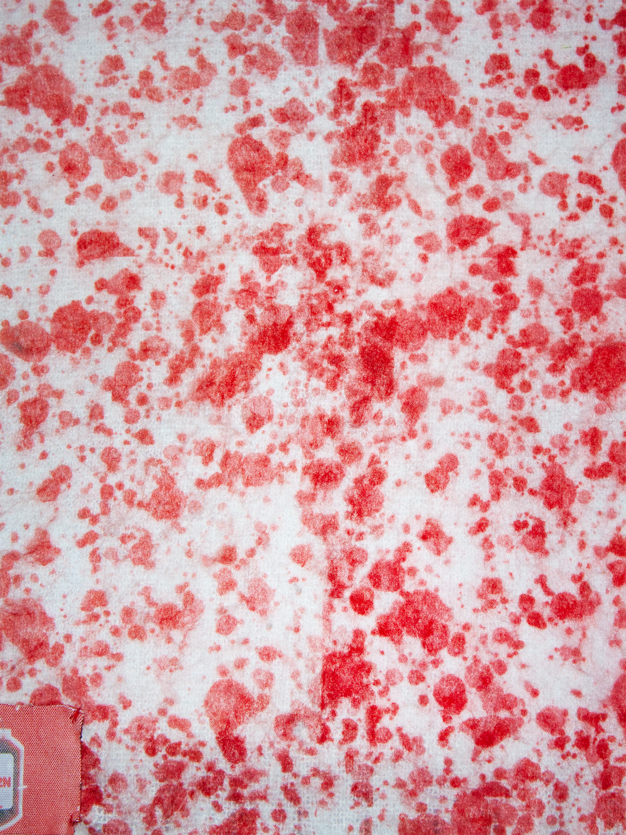 BLOOD-STAINED-SCARF-TWO.png