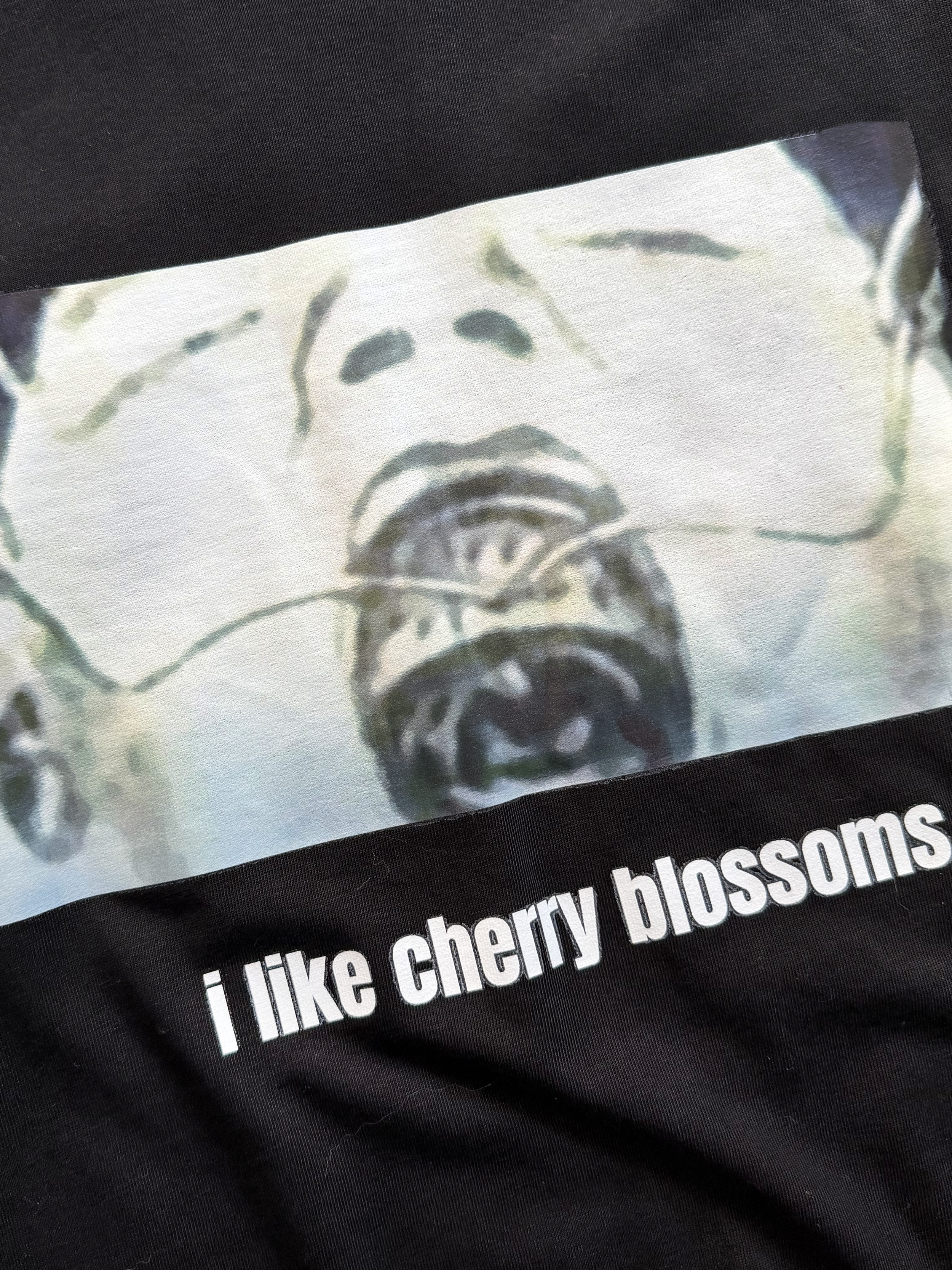 CHERRY-BLOSS-DETAILS.png