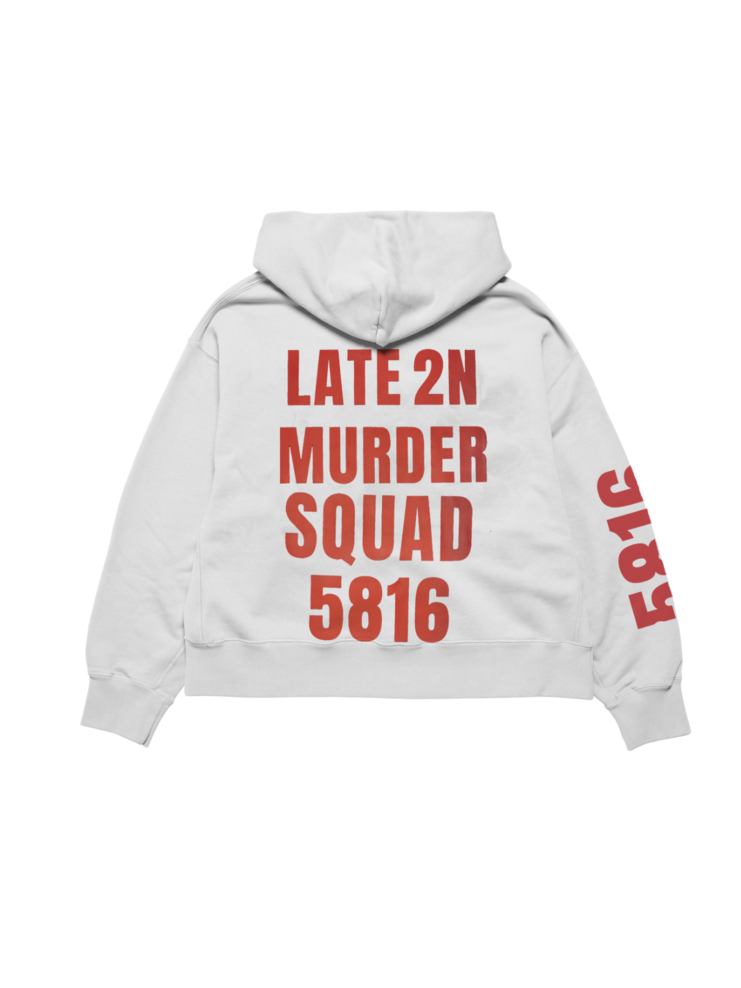 MSBACKHOODIE.png