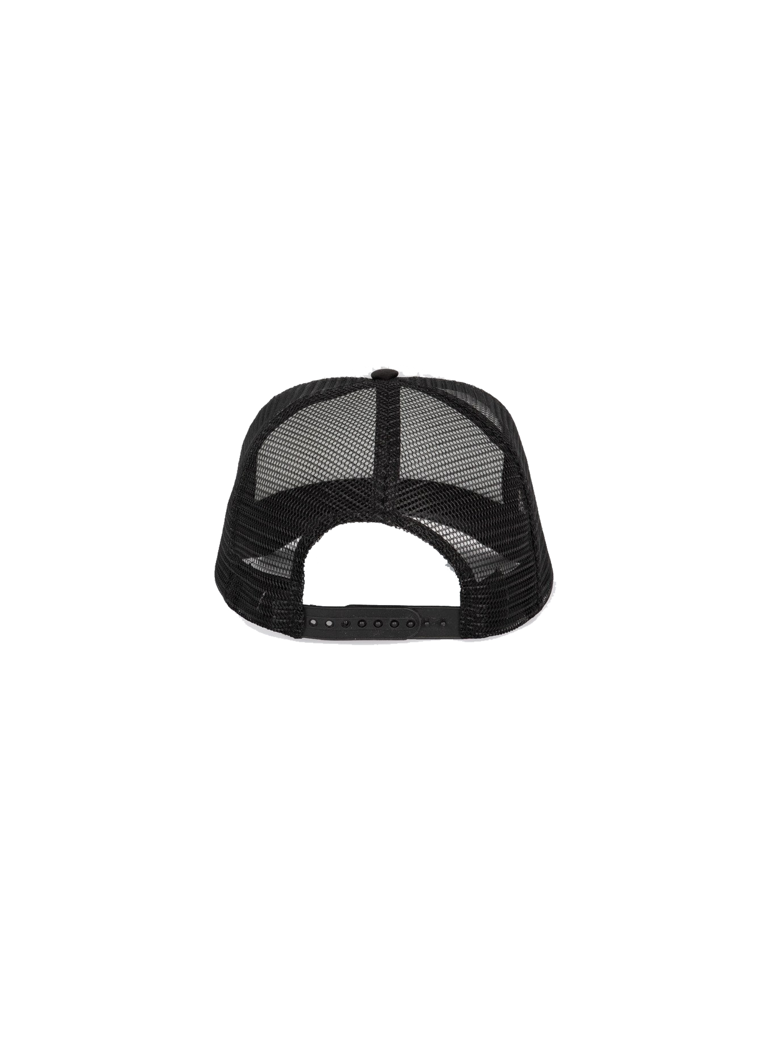 BLACK-CAP-BACK.png