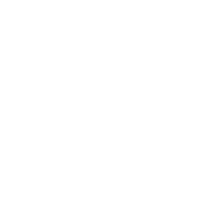 REBEL MOTION