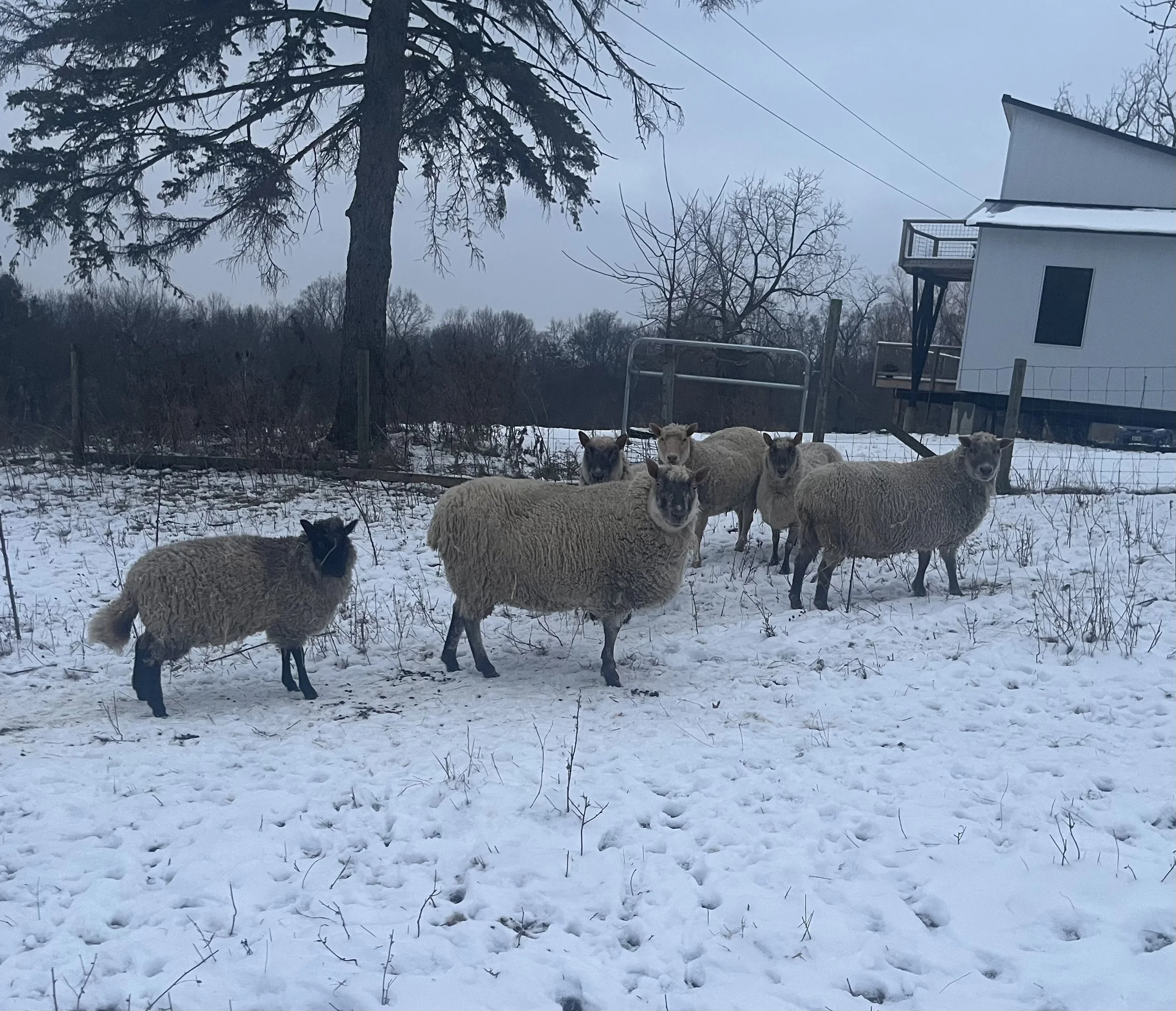 17 lives saved in 2025