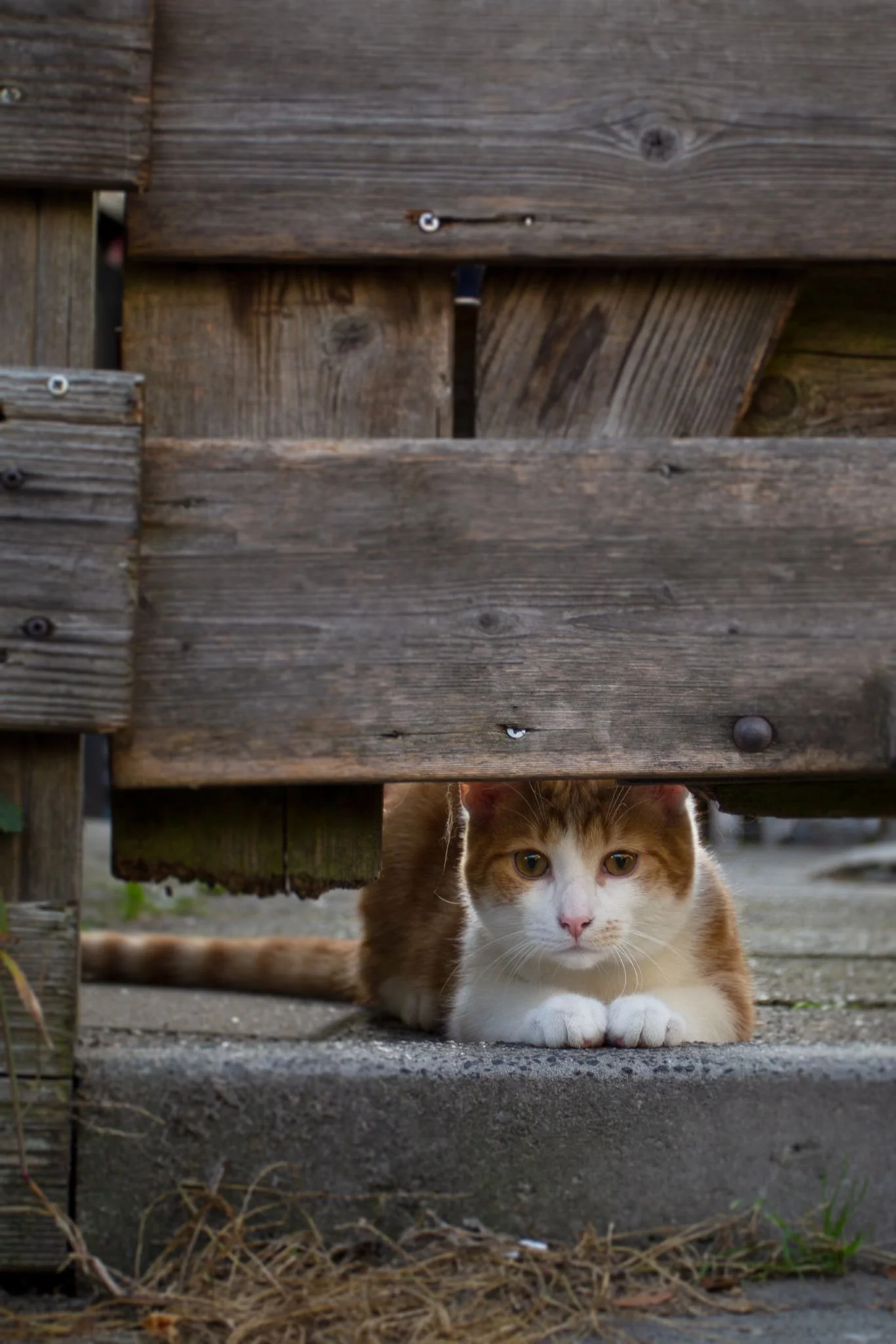 3f0eb78c-236e-4503-9b36-8adab0fe230e 2.JPG