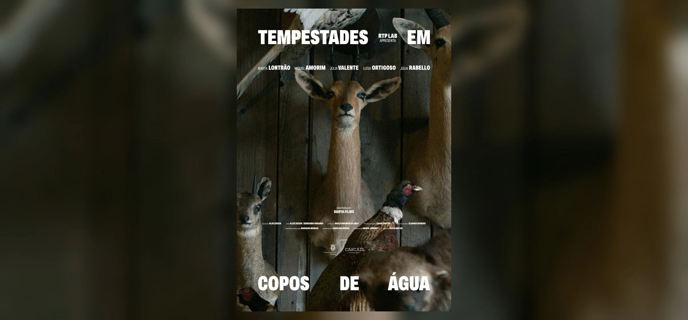 Poster for Tempestades em Copos de Água, a TV series by Darya Films for RTP.