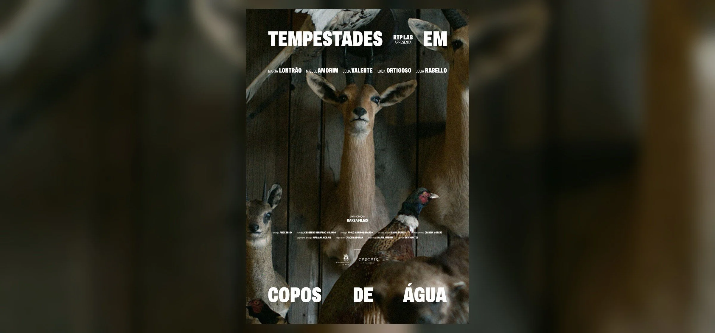 Tempestades em Copos de Água poster