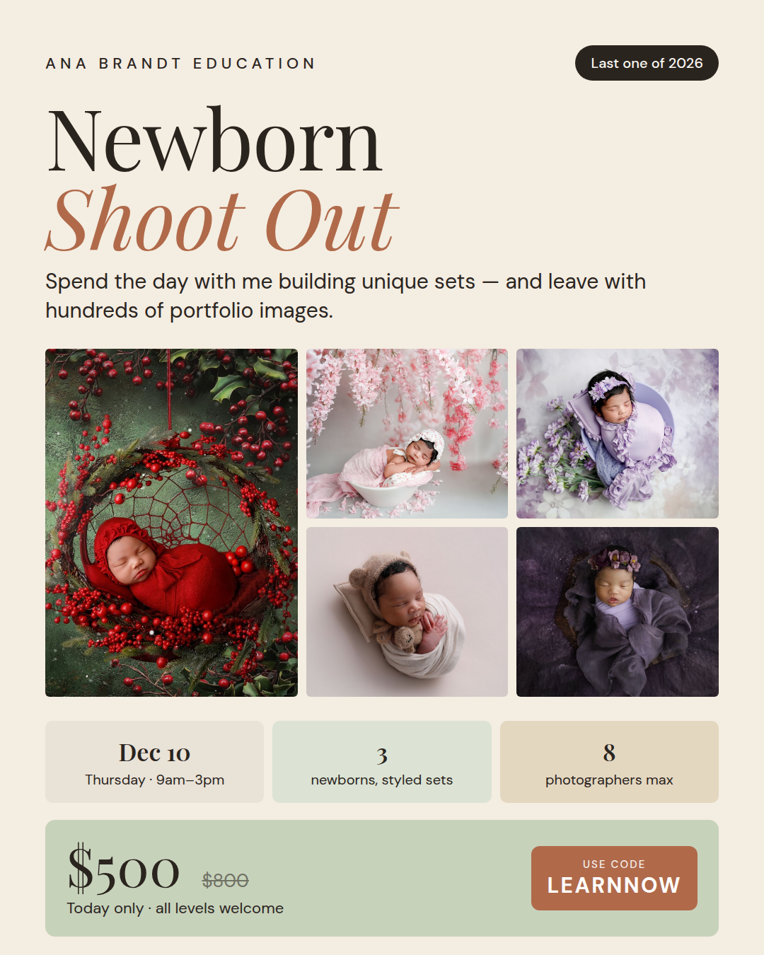 newborn-shootout-feed-1080x1350.png