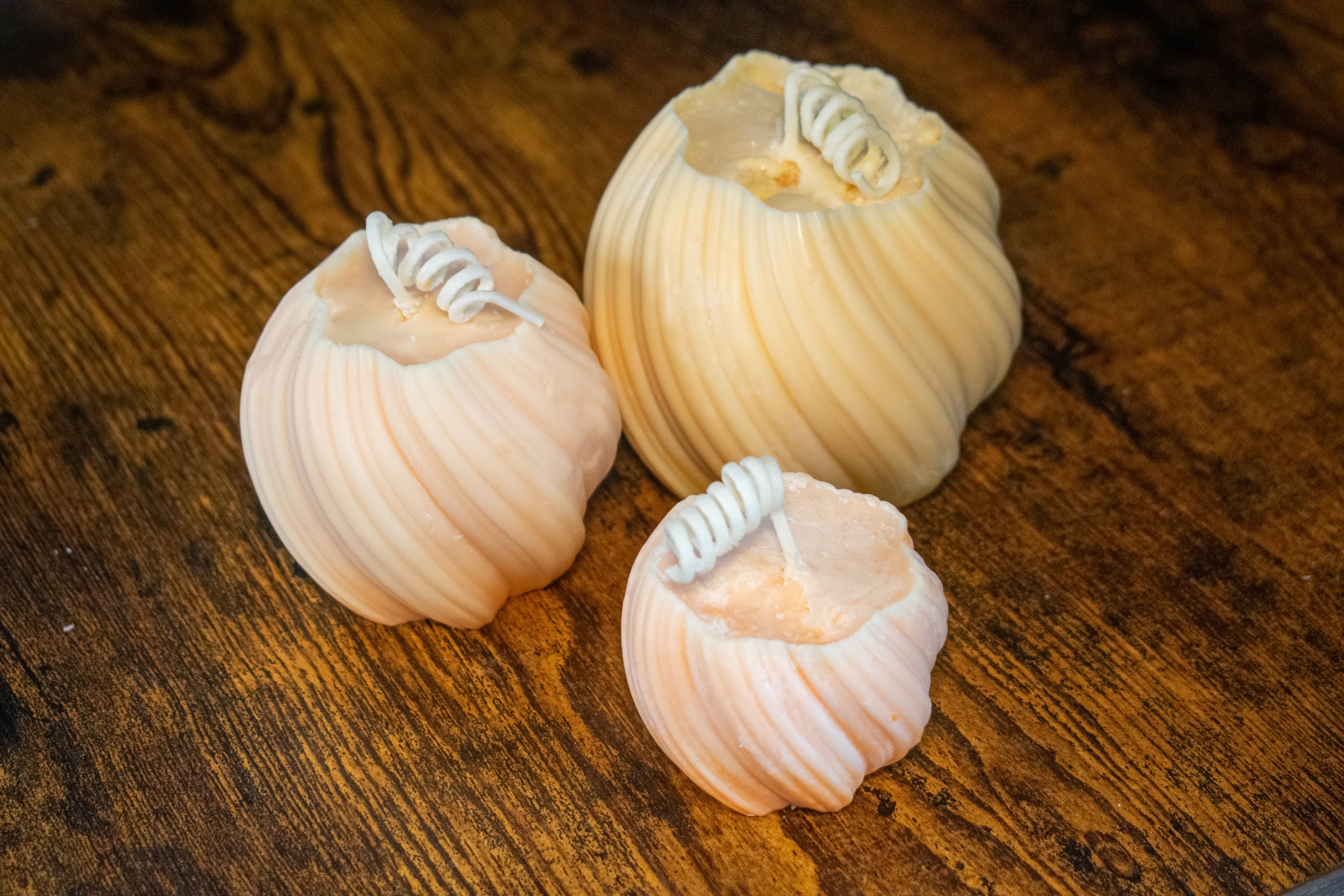 pumkin3.jpg