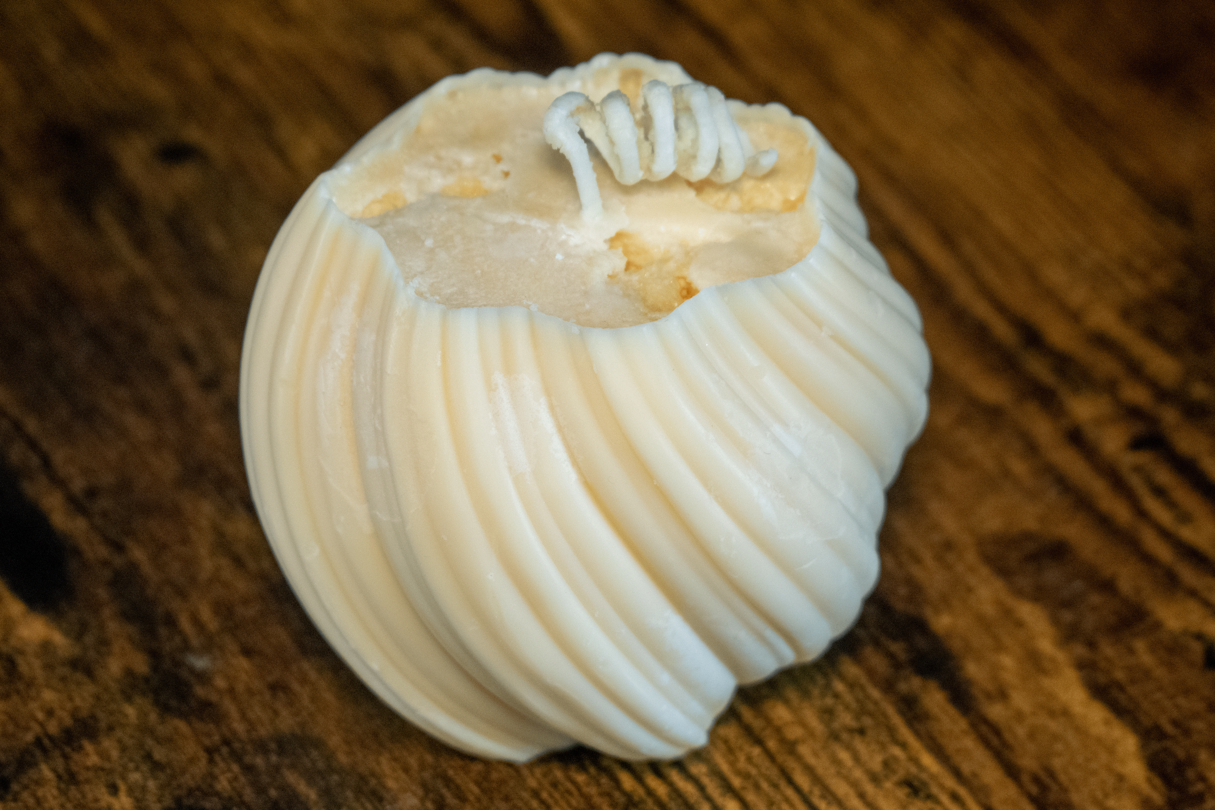 Pumpkin_Medium.png